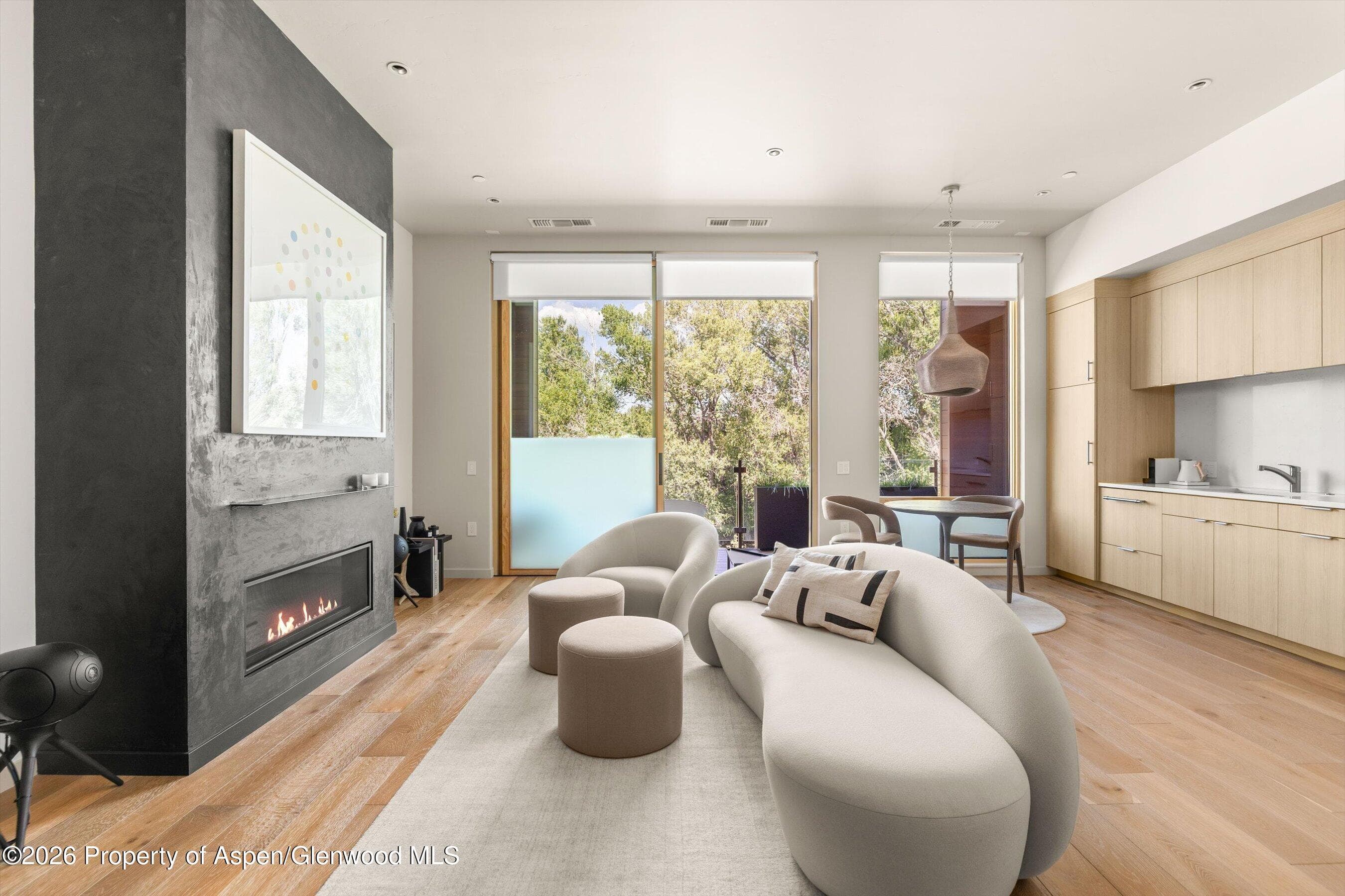 101 Willow Road 202, Basalt, CO 81621 - Photo 3