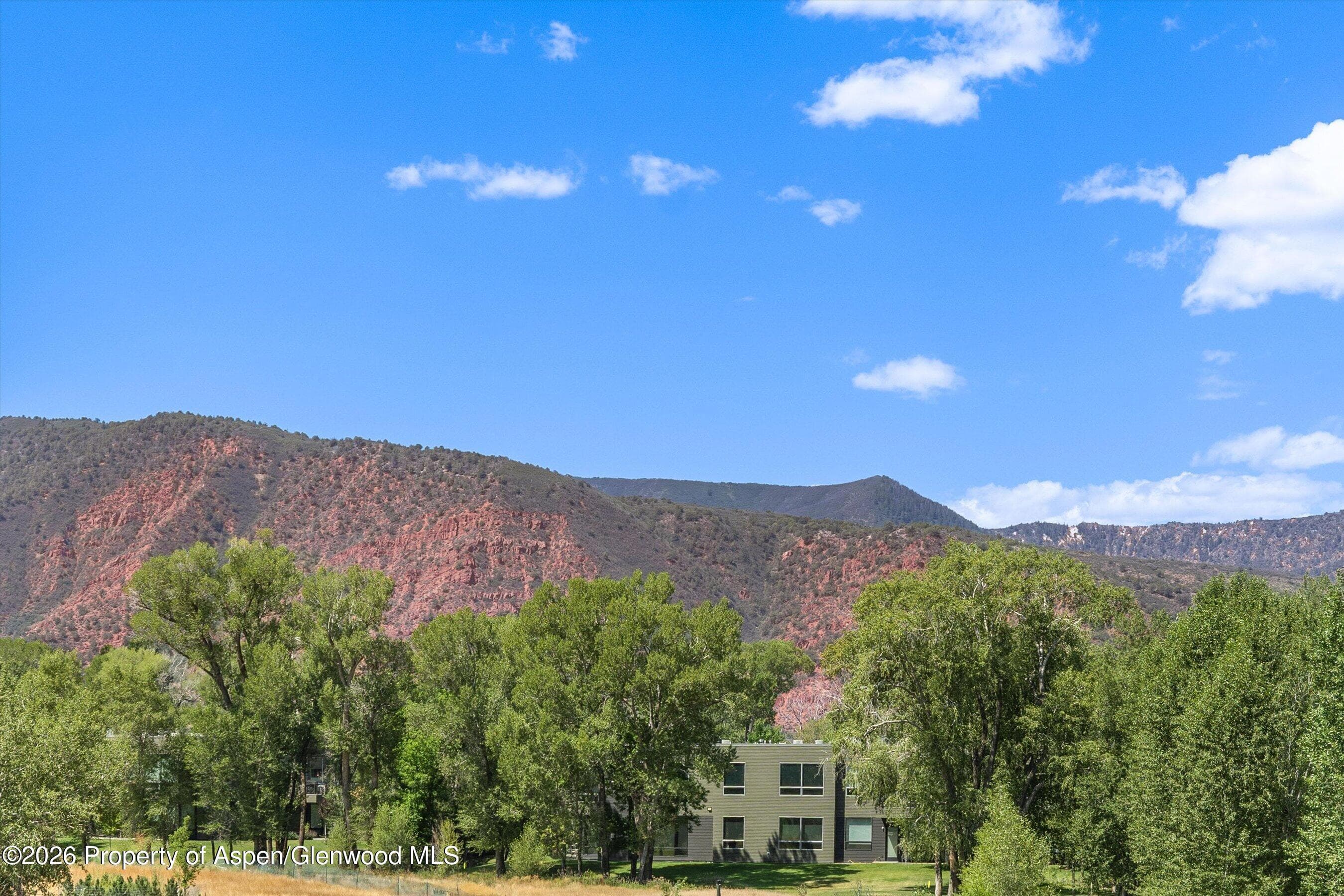 101 Willow Road 202, Basalt, CO 81621 - Photo 18
