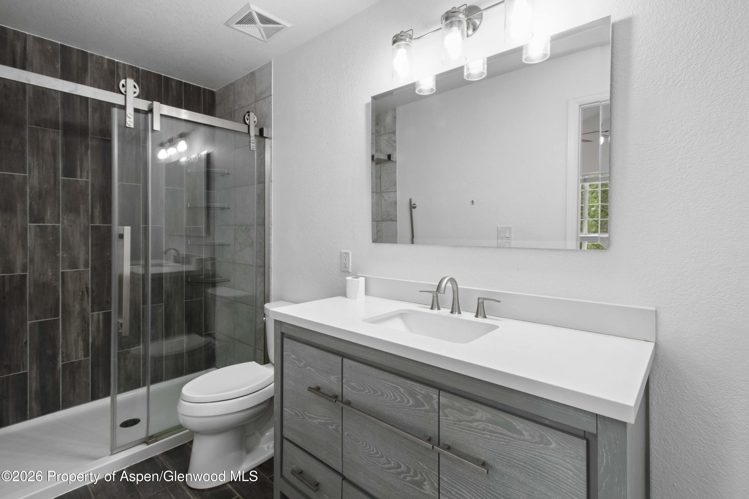 571 River View Drive 1207, New Castle, CO 81647 - Photo 11
