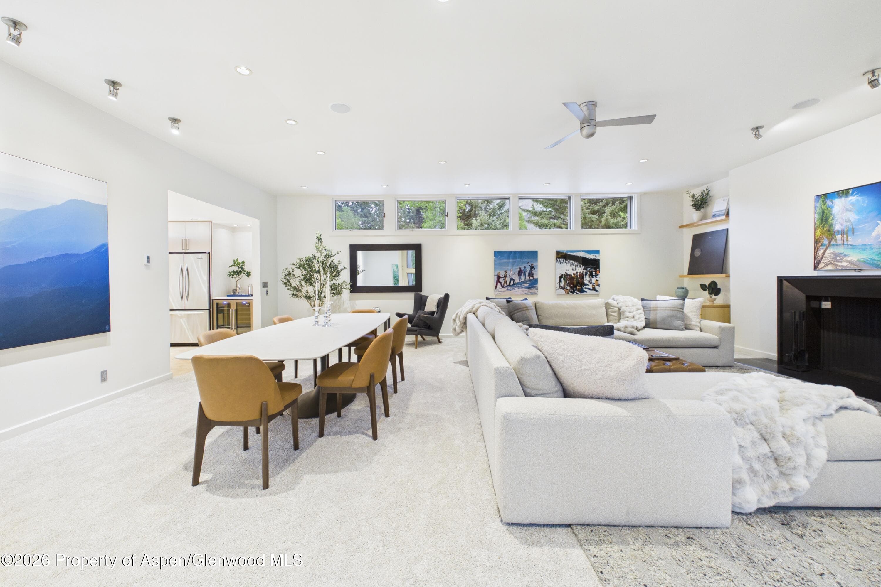 506 W Hallam Street, Aspen, CO 81611 - Photo 8