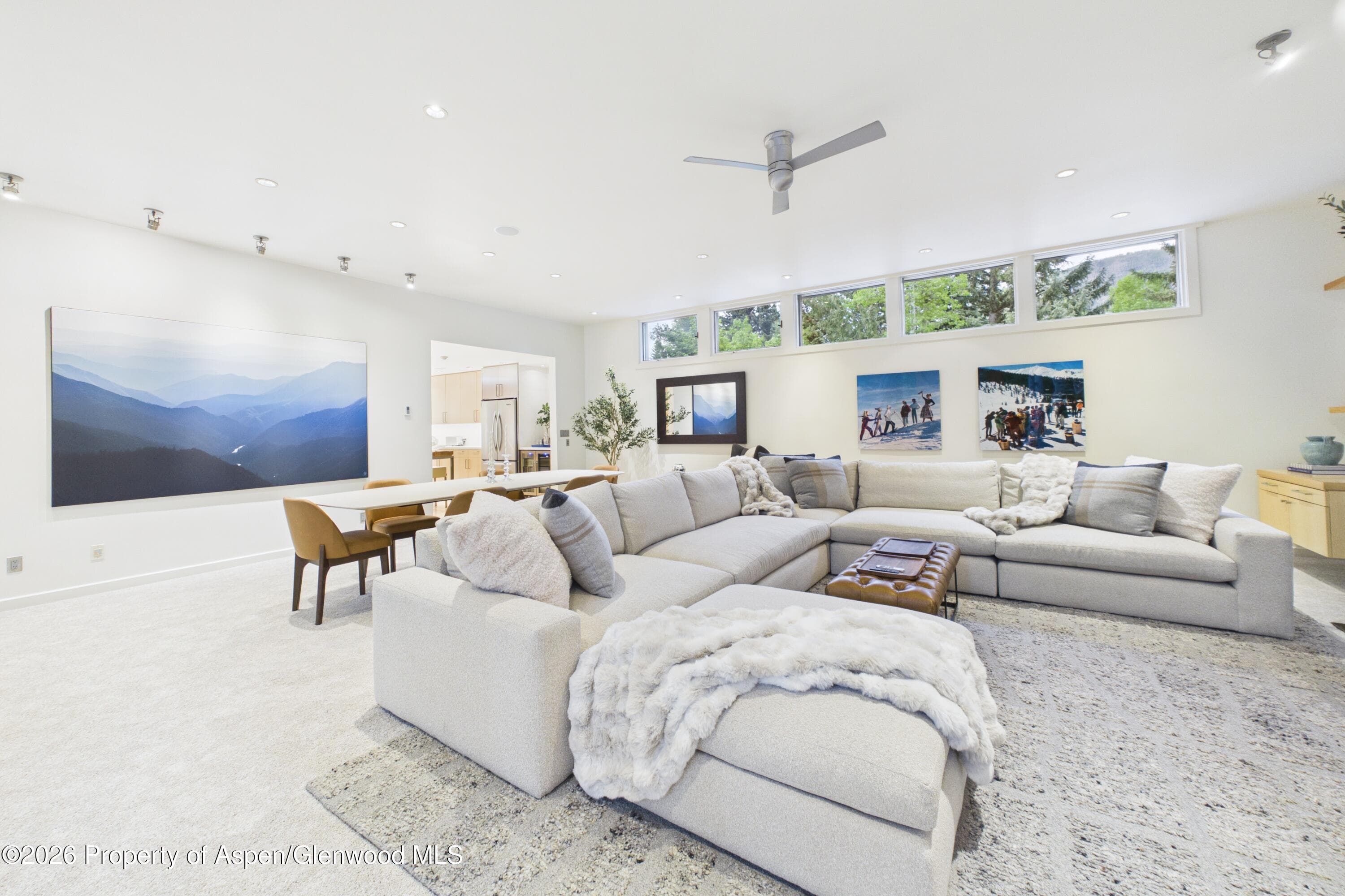 506 W Hallam Street, Aspen, CO 81611 - Photo 6