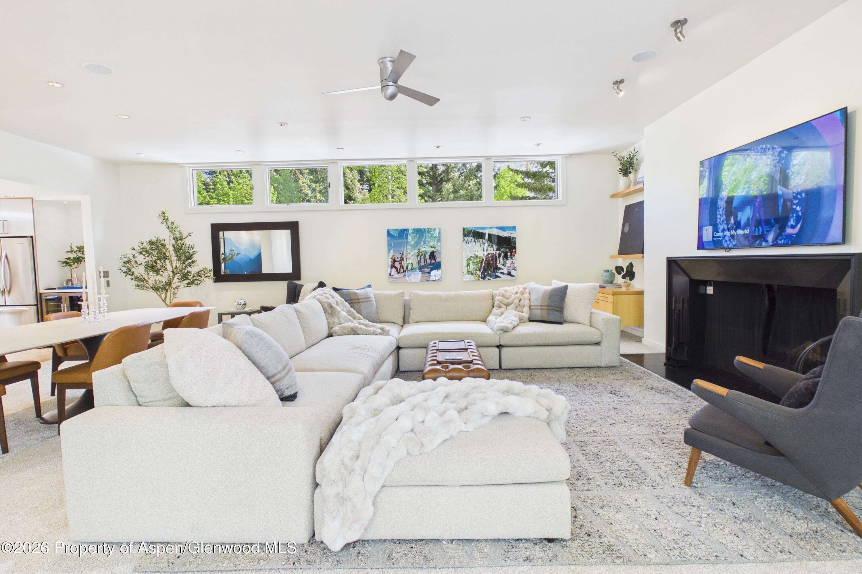 506 W Hallam Street, Aspen, CO 81611 - Photo 7