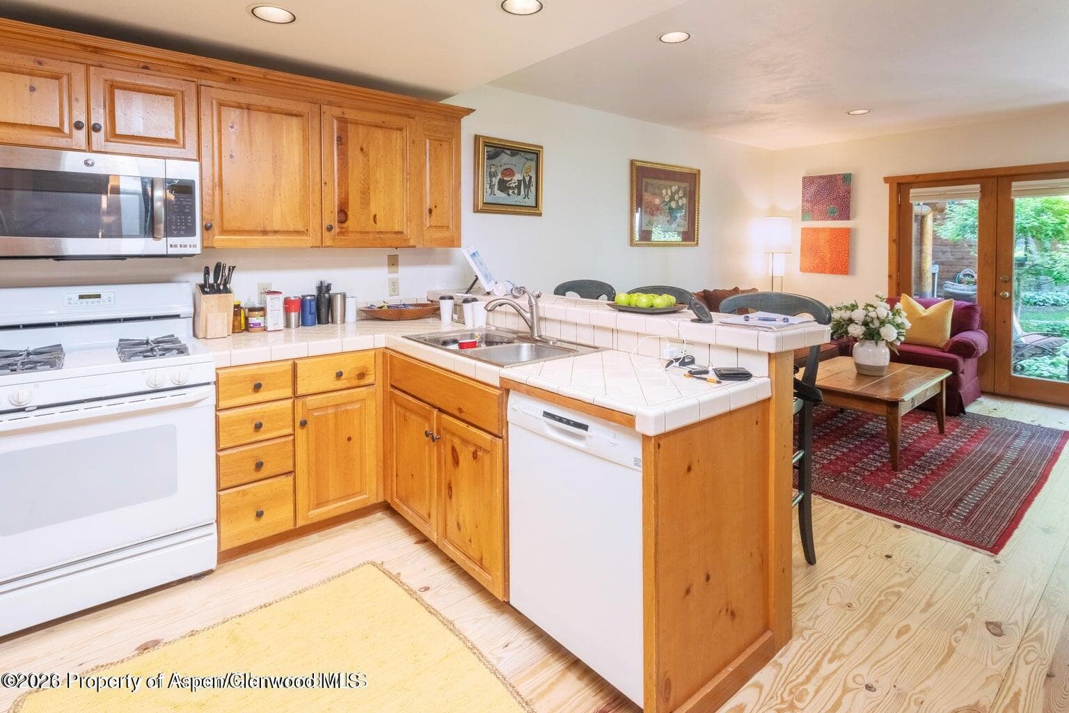 960 E Durant Avenue 7, Aspen, CO 81611 - Photo 2