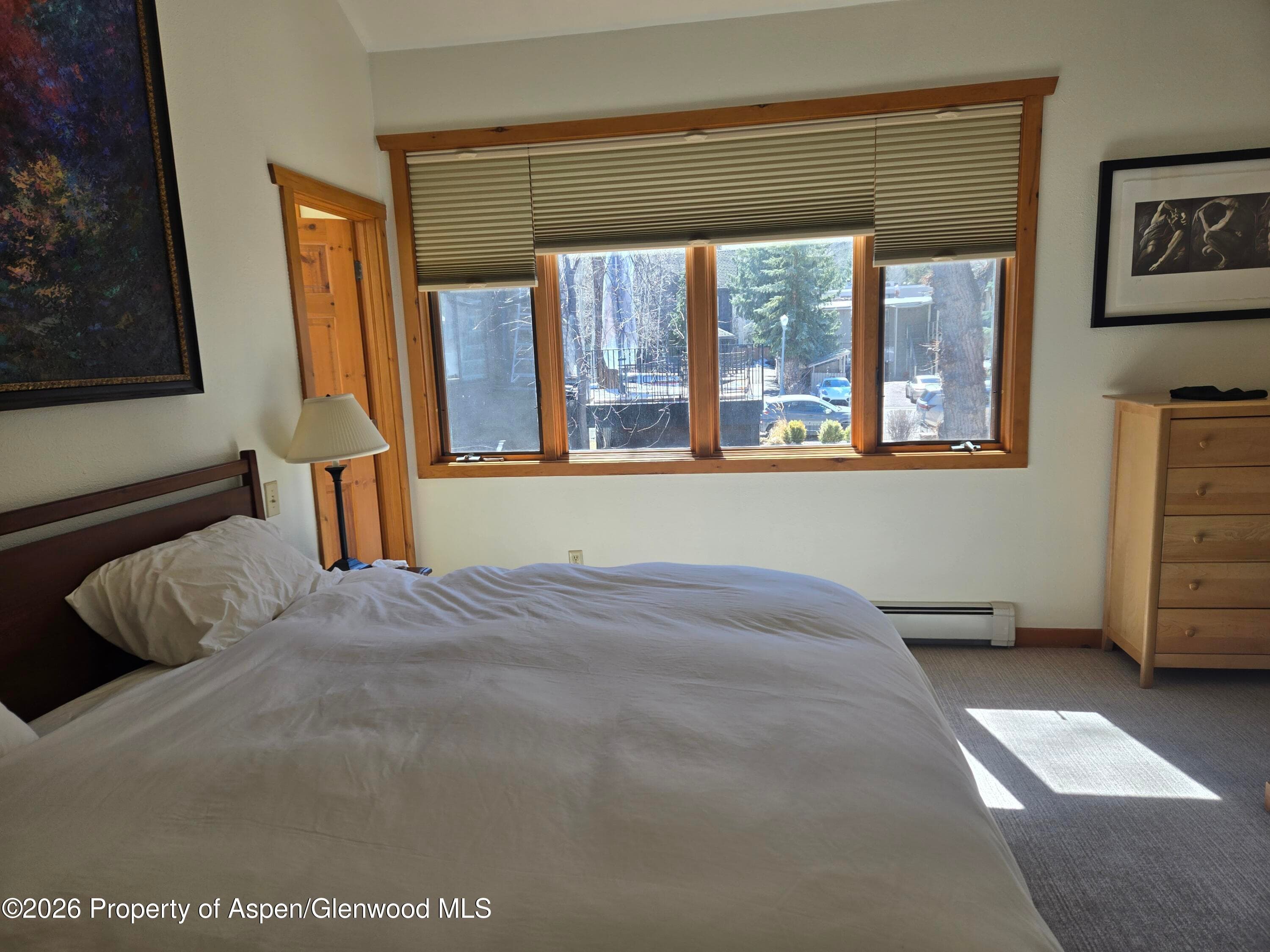 960 E Durant Avenue 7, Aspen, CO 81611 - Photo 4