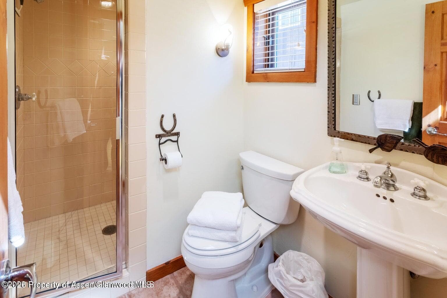960 E Durant Avenue 7, Aspen, CO 81611 - Photo 5