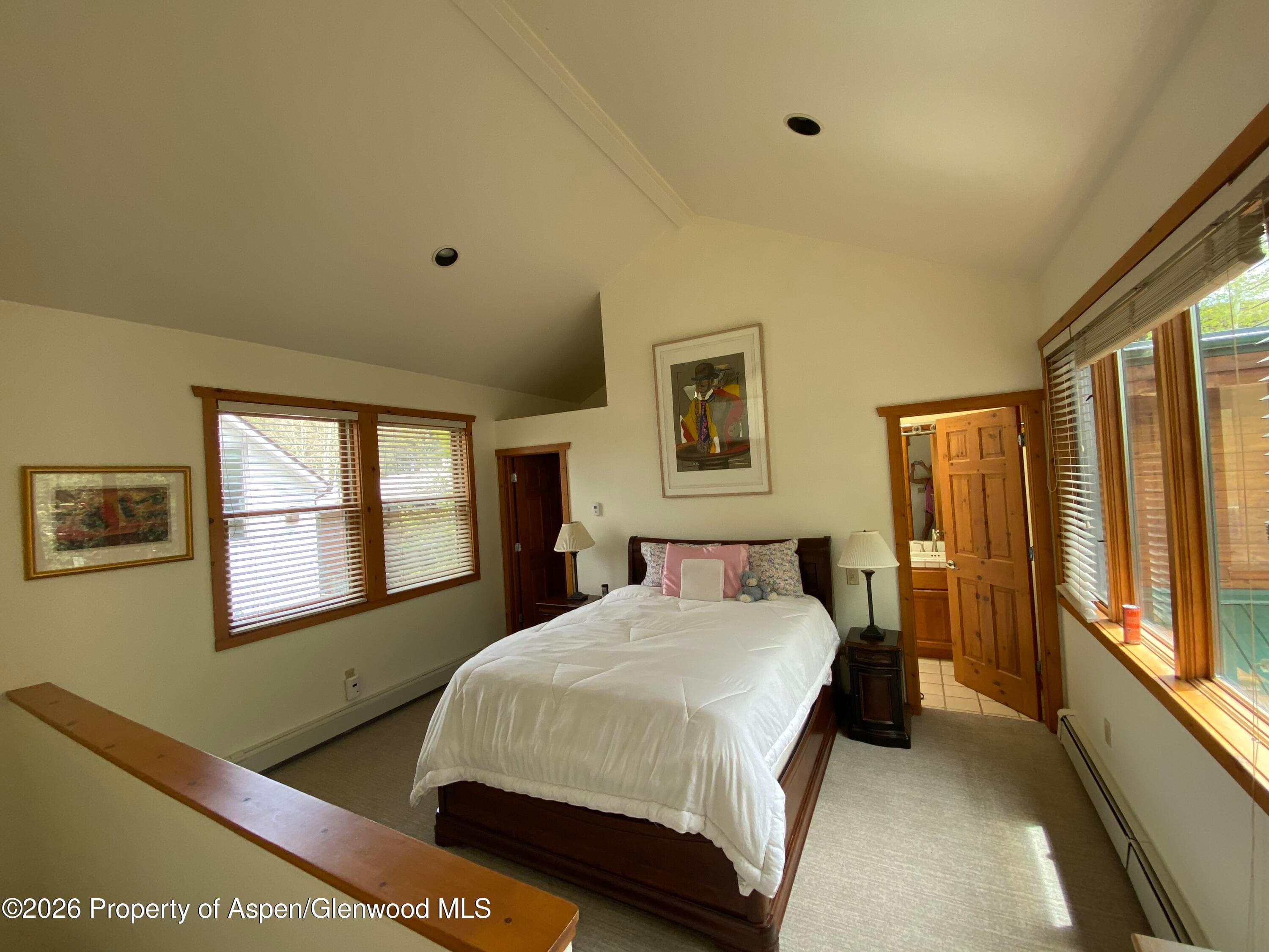960 E Durant Avenue 7, Aspen, CO 81611 - Photo 6