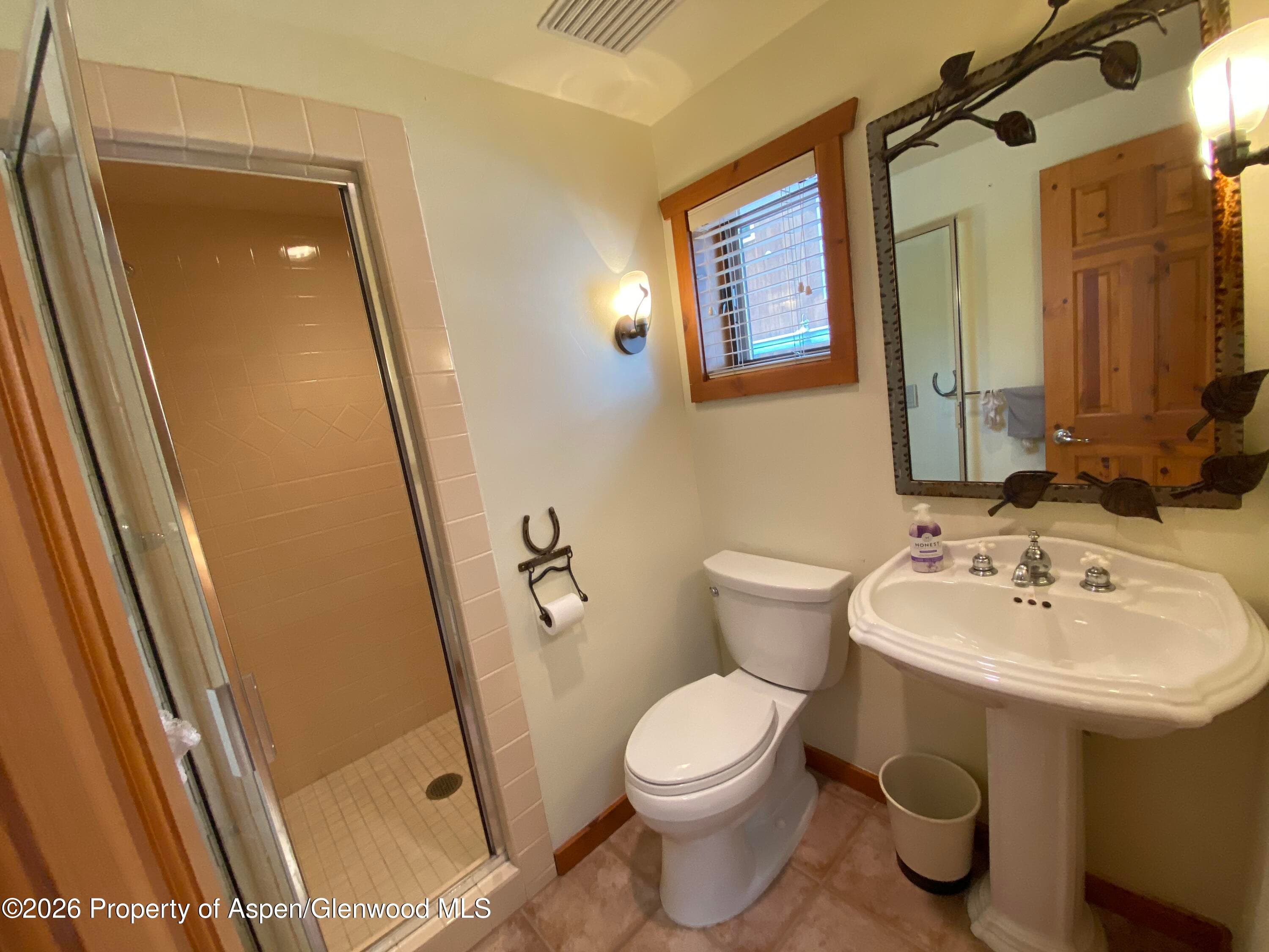 960 E Durant Avenue 7, Aspen, CO 81611 - Photo 7