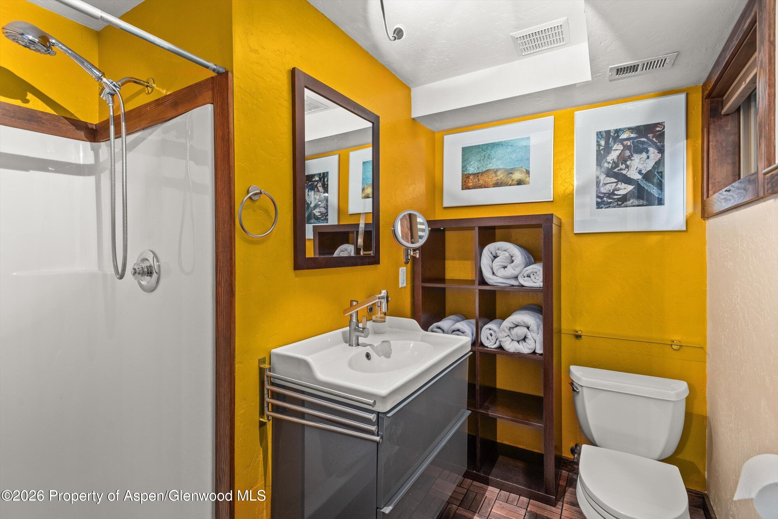 681 S 2nd Street B, Carbondale, CO 81623 - Photo 30