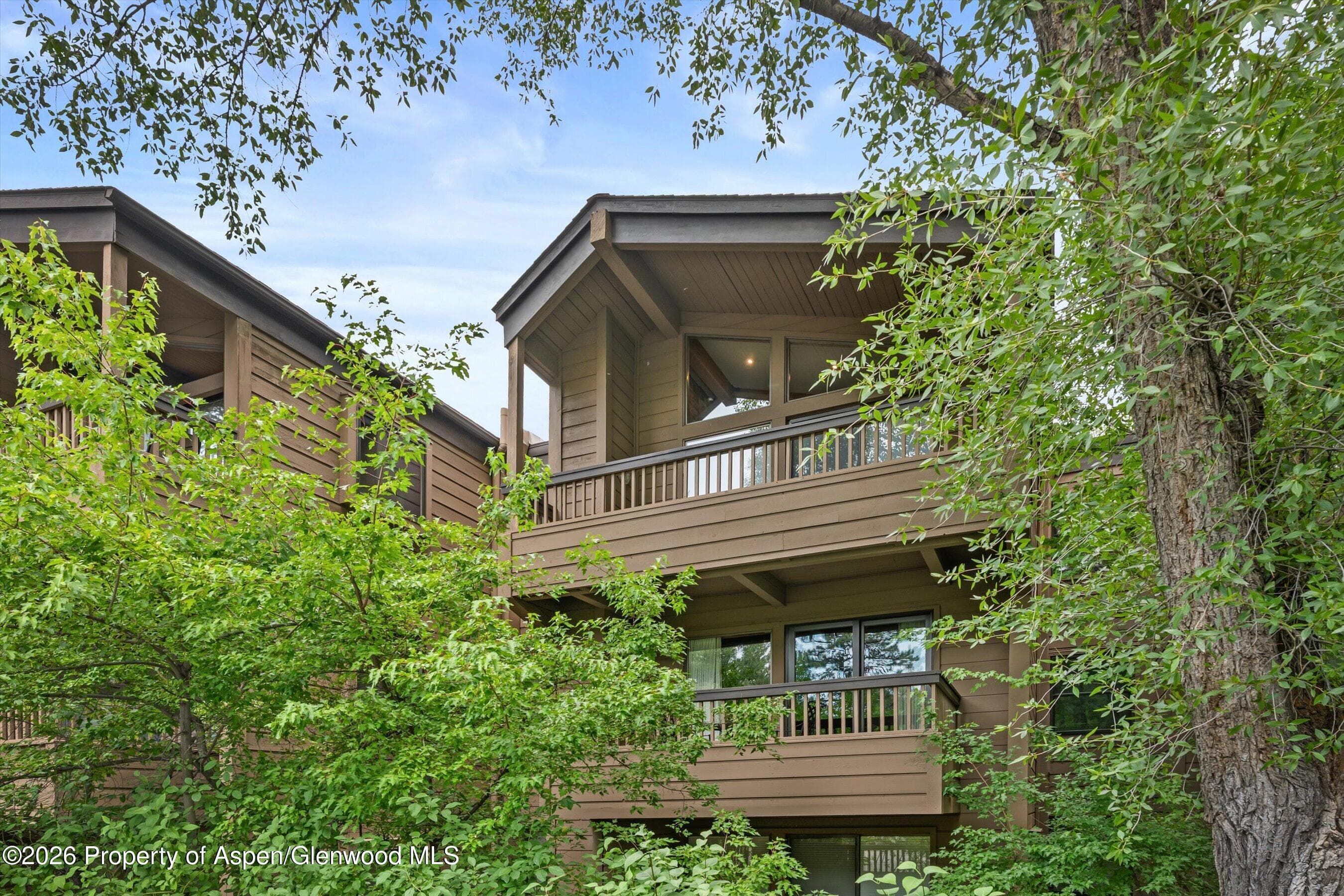 610 S West End Street J204, Aspen, CO 81611 - Photo 14