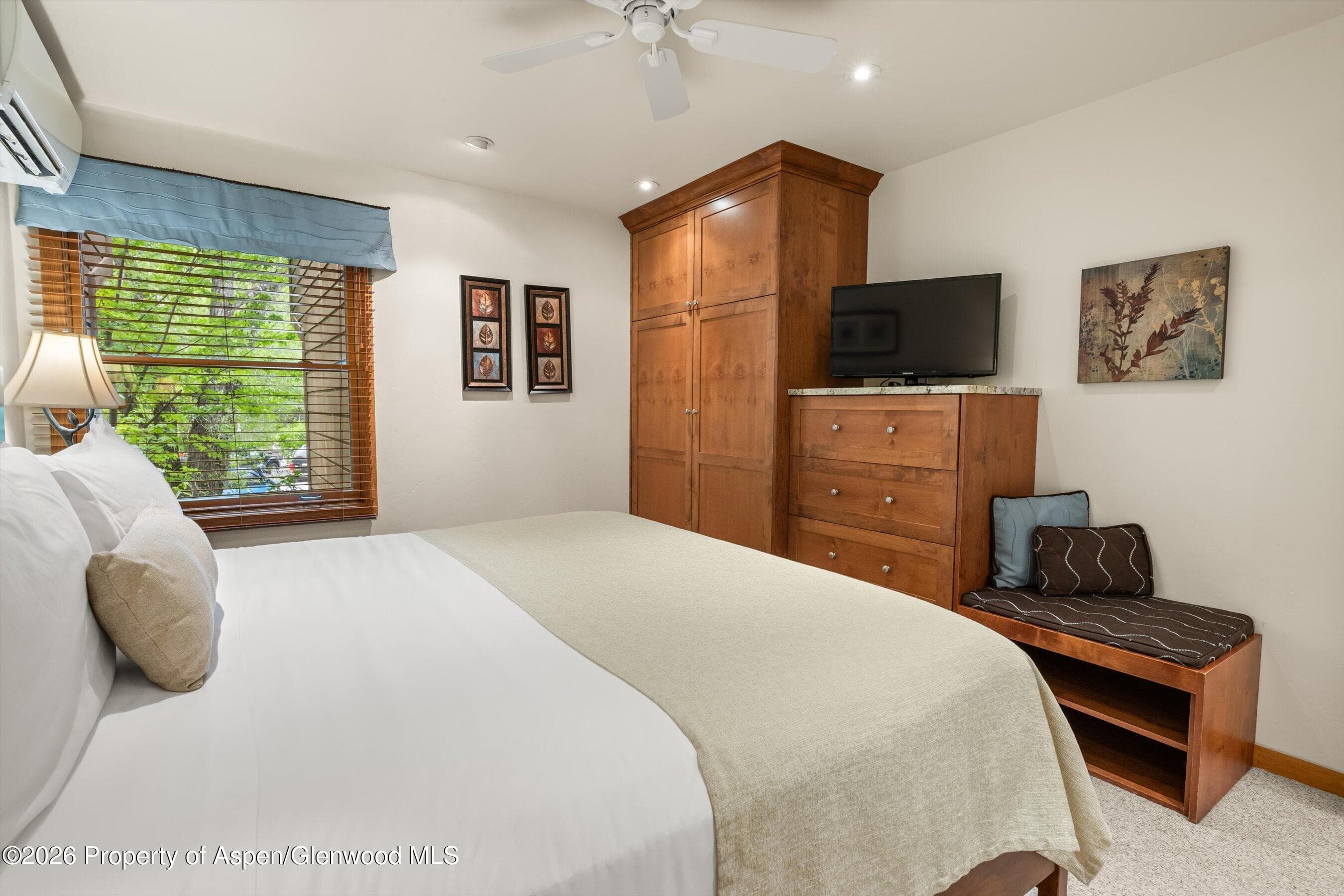 610 S West End Street J204, Aspen, CO 81611 - Photo 11