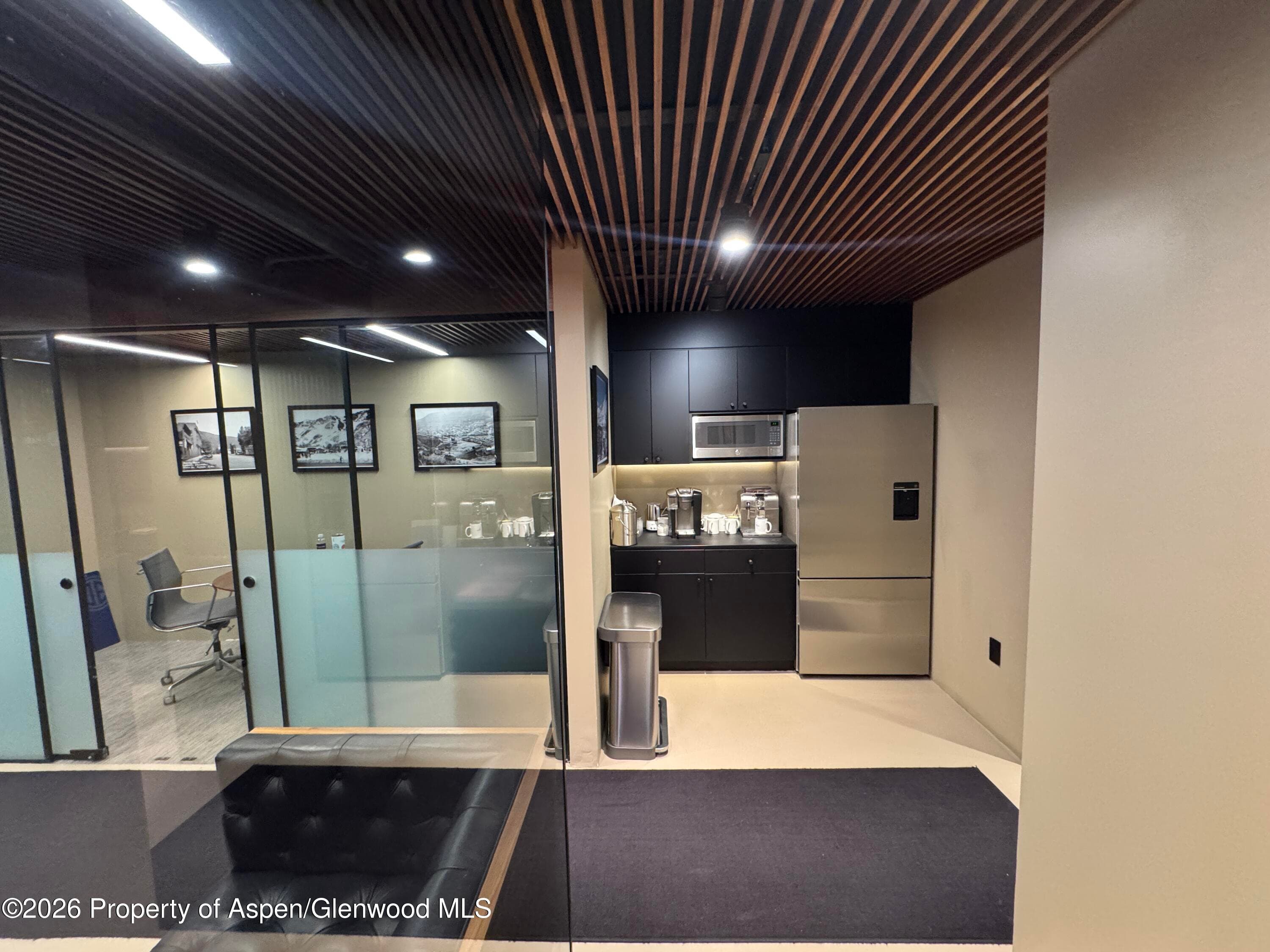 520 E Durant Avenue 102, Aspen, CO 81611 - Photo 8