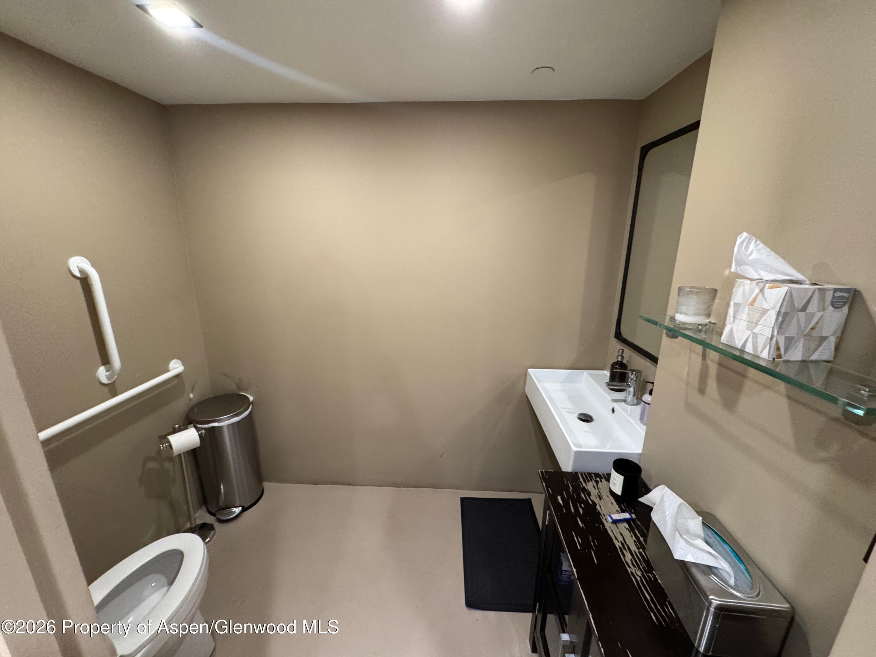 520 E Durant Avenue 102, Aspen, CO 81611 - Photo 12