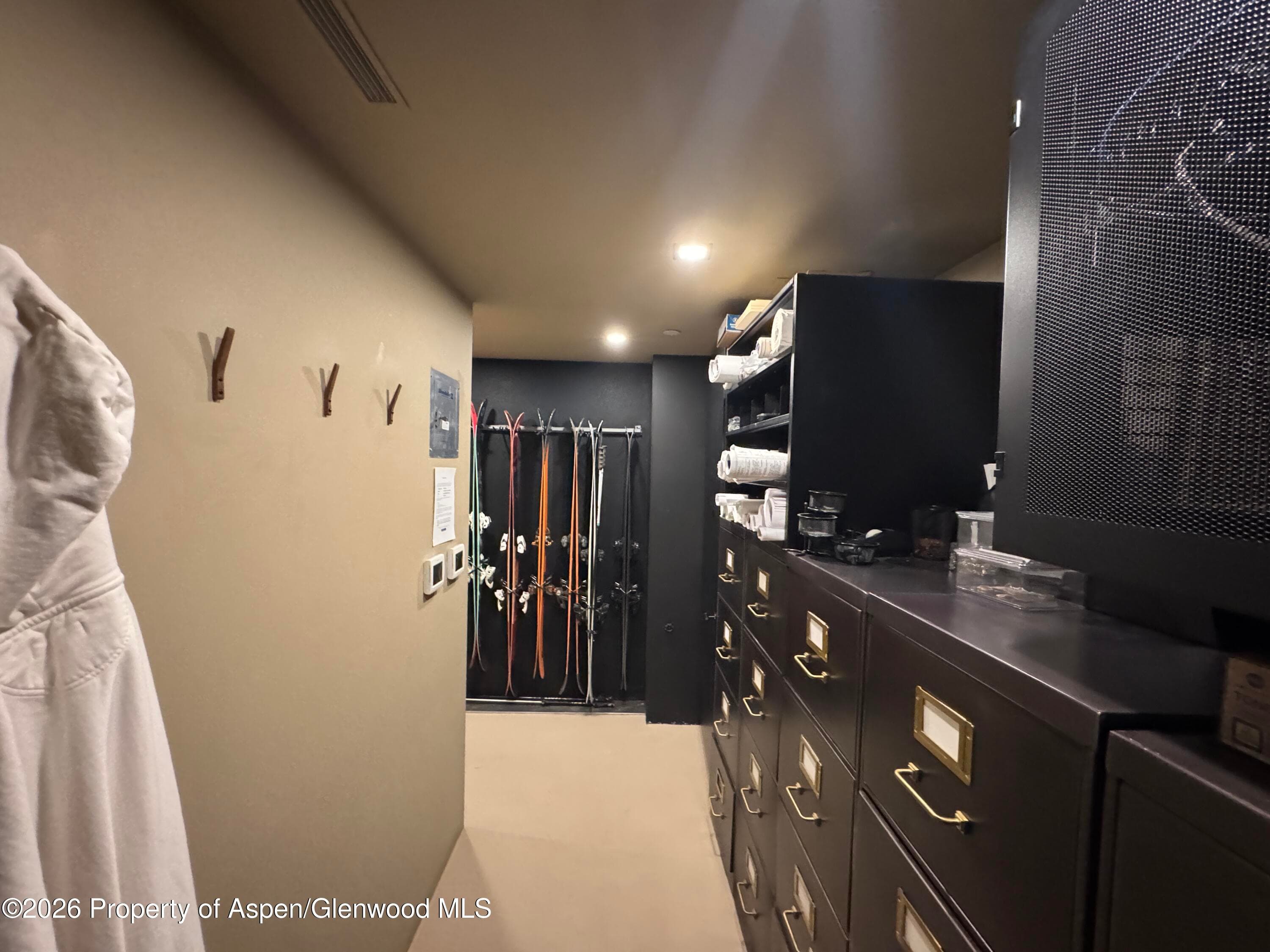 520 E Durant Avenue 102, Aspen, CO 81611 - Photo 15