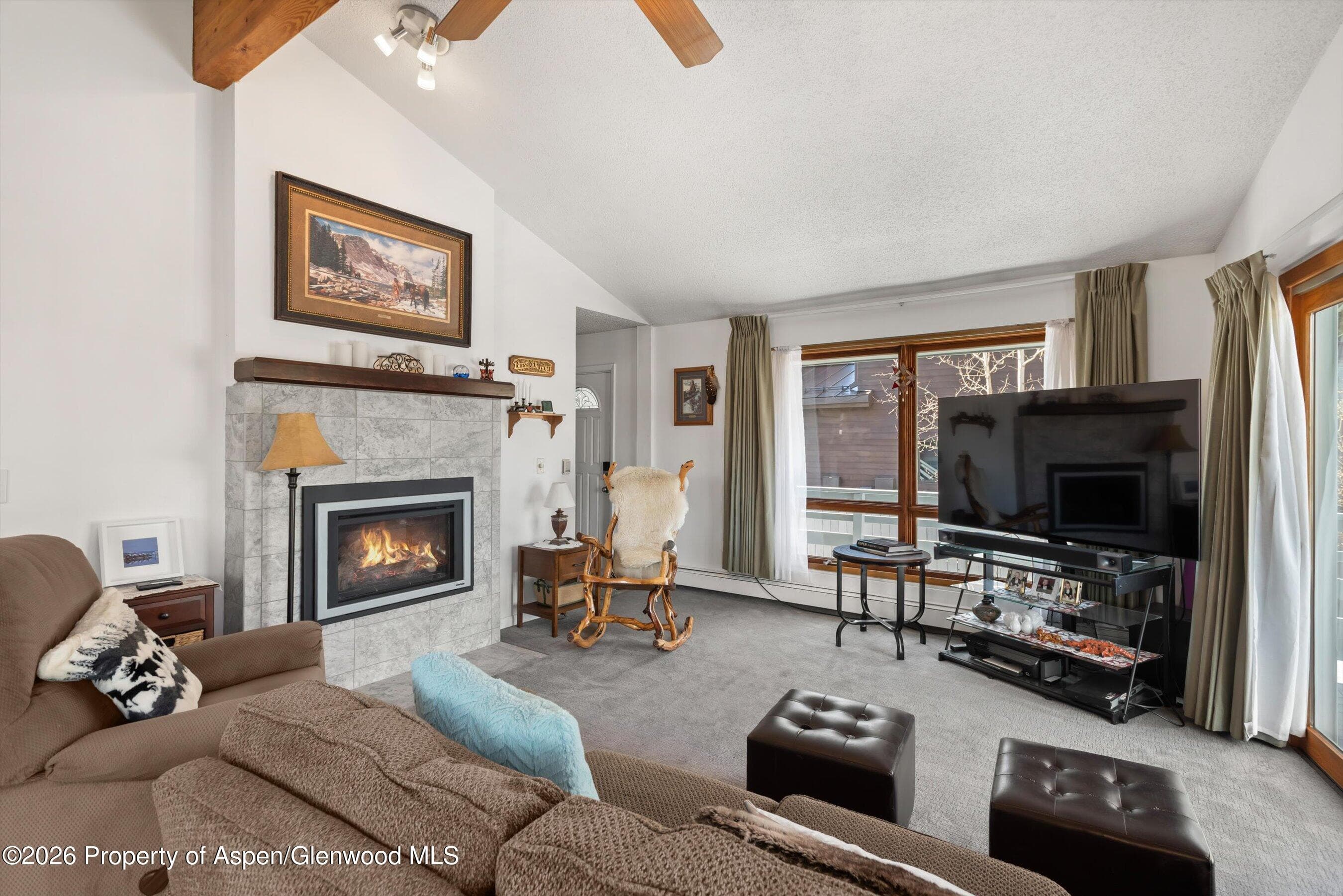 534 And 53 Spruce Street Units 1 And 2, Aspen, CO 81611 - Photo 7