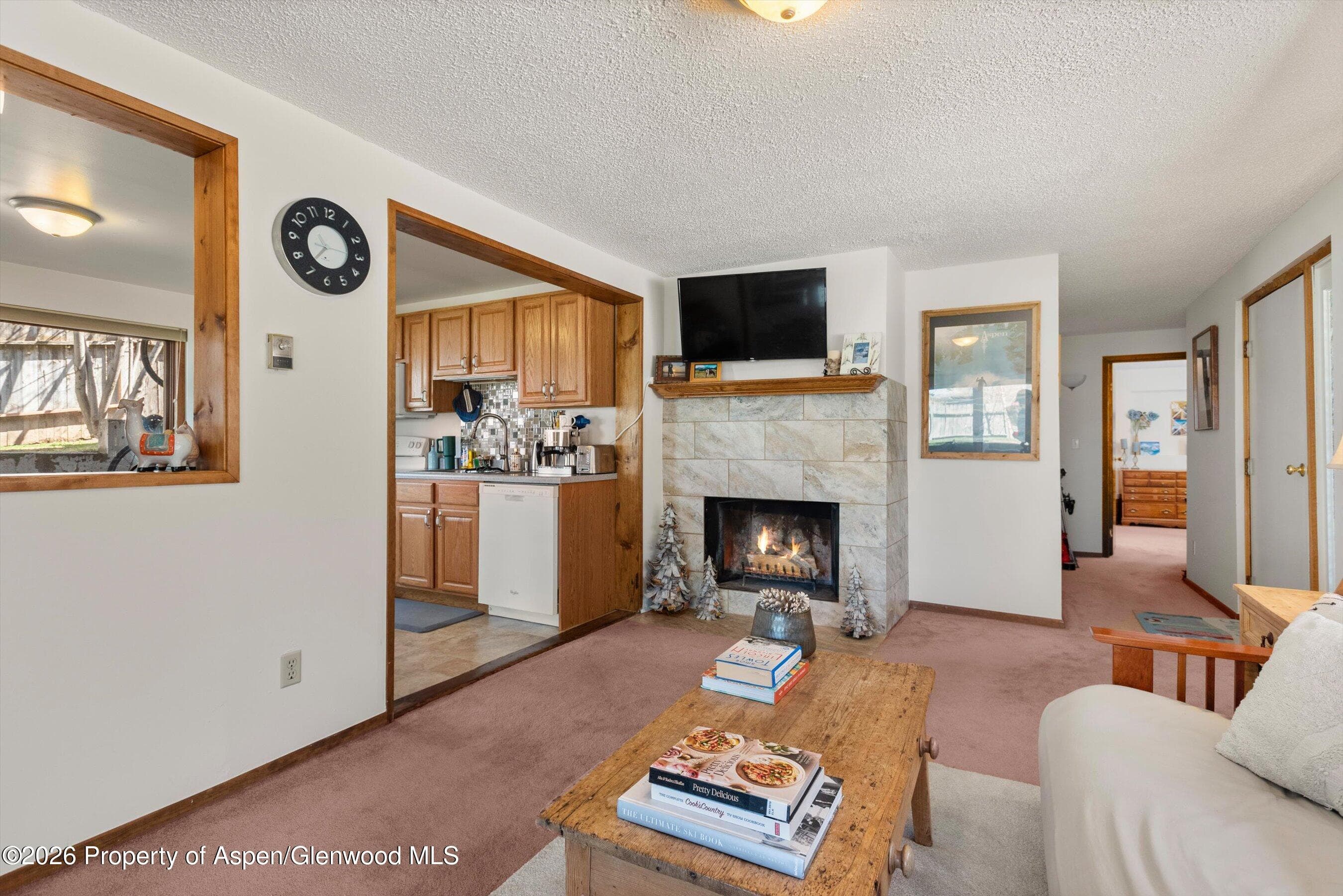 534 And 53 Spruce Street Units 1 And 2, Aspen, CO 81611 - Photo 19