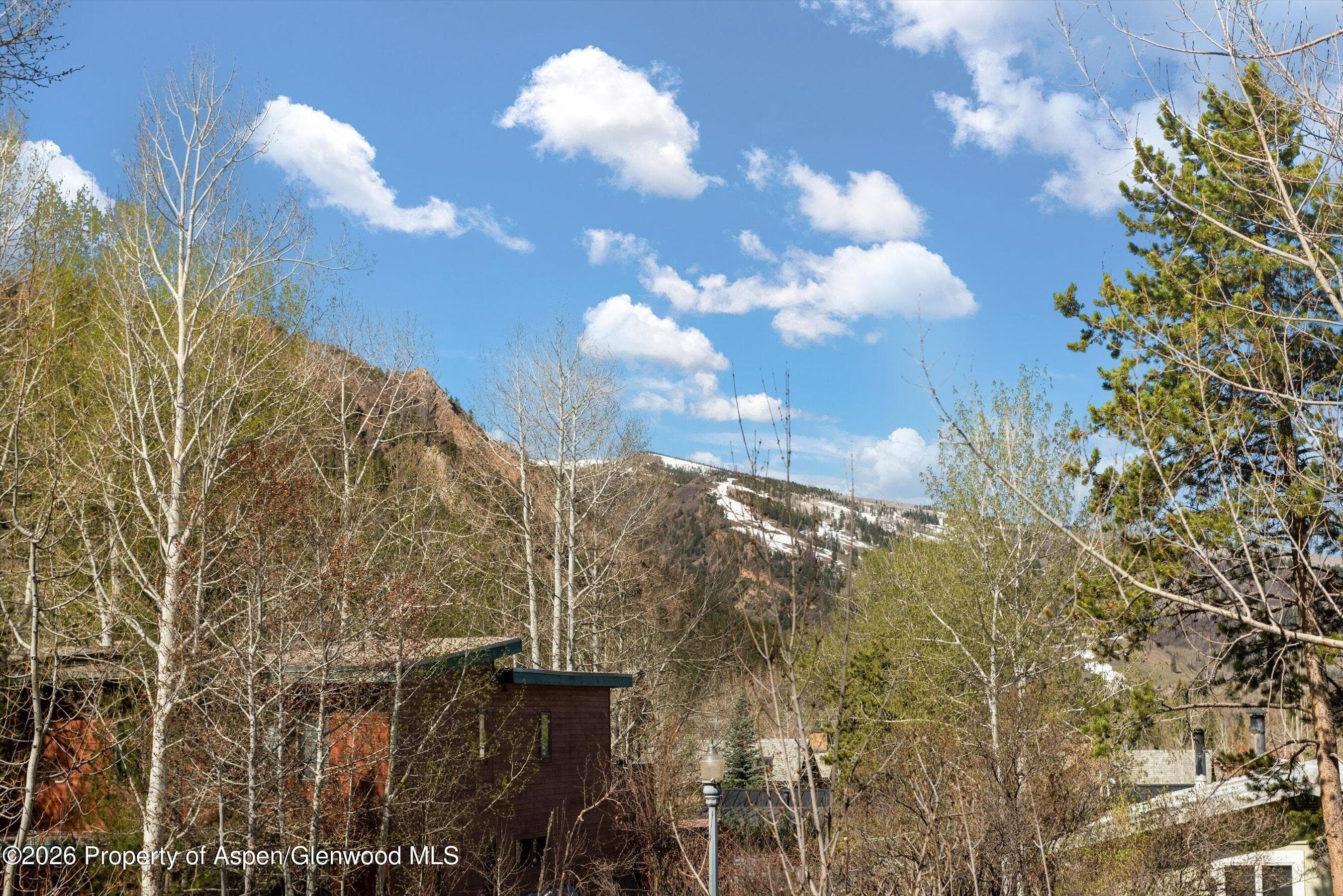 534 And 53 Spruce Street Units 1 And 2, Aspen, CO 81611 - Photo 30