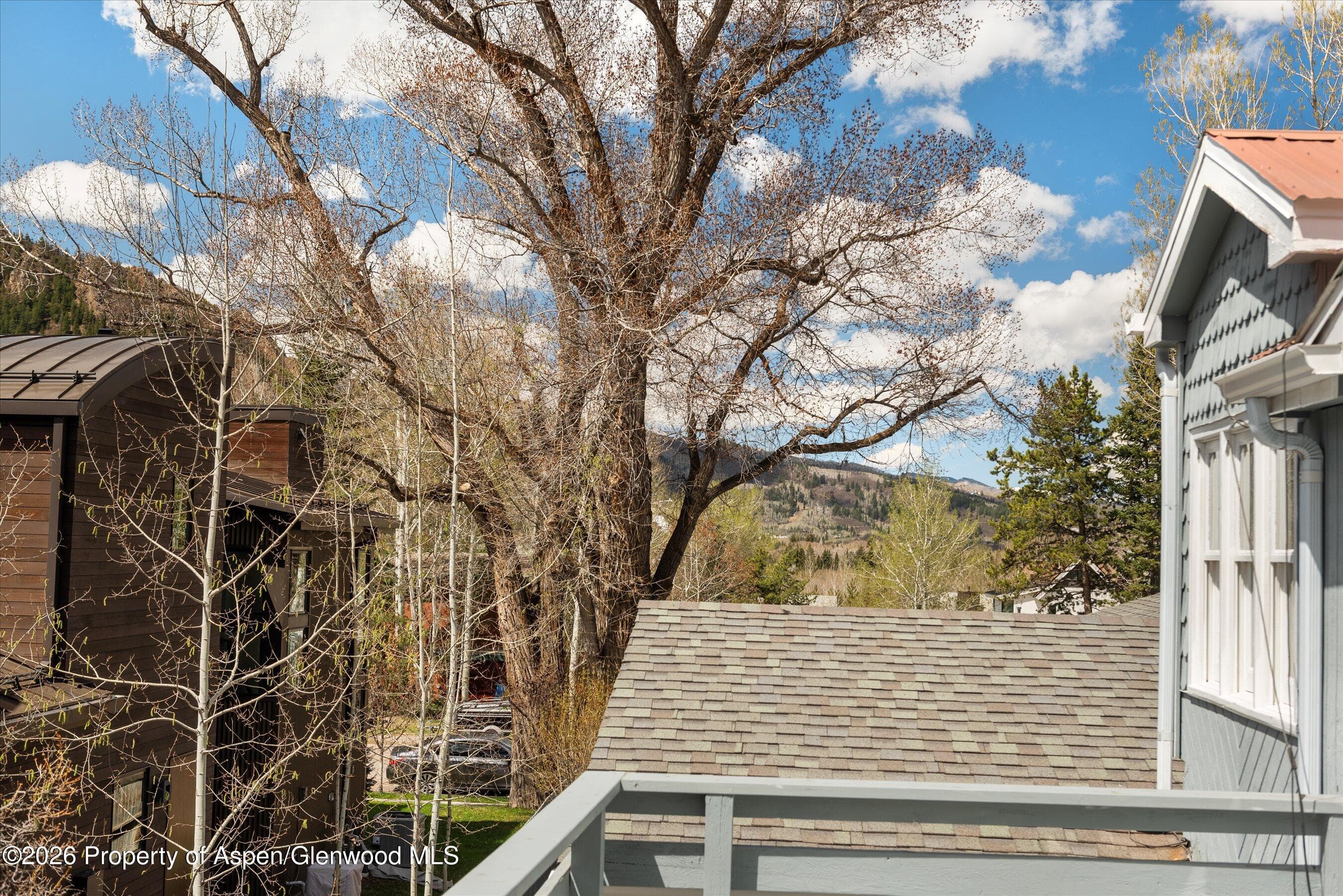 534 And 53 Spruce Street Units 1 And 2, Aspen, CO 81611 - Photo 61