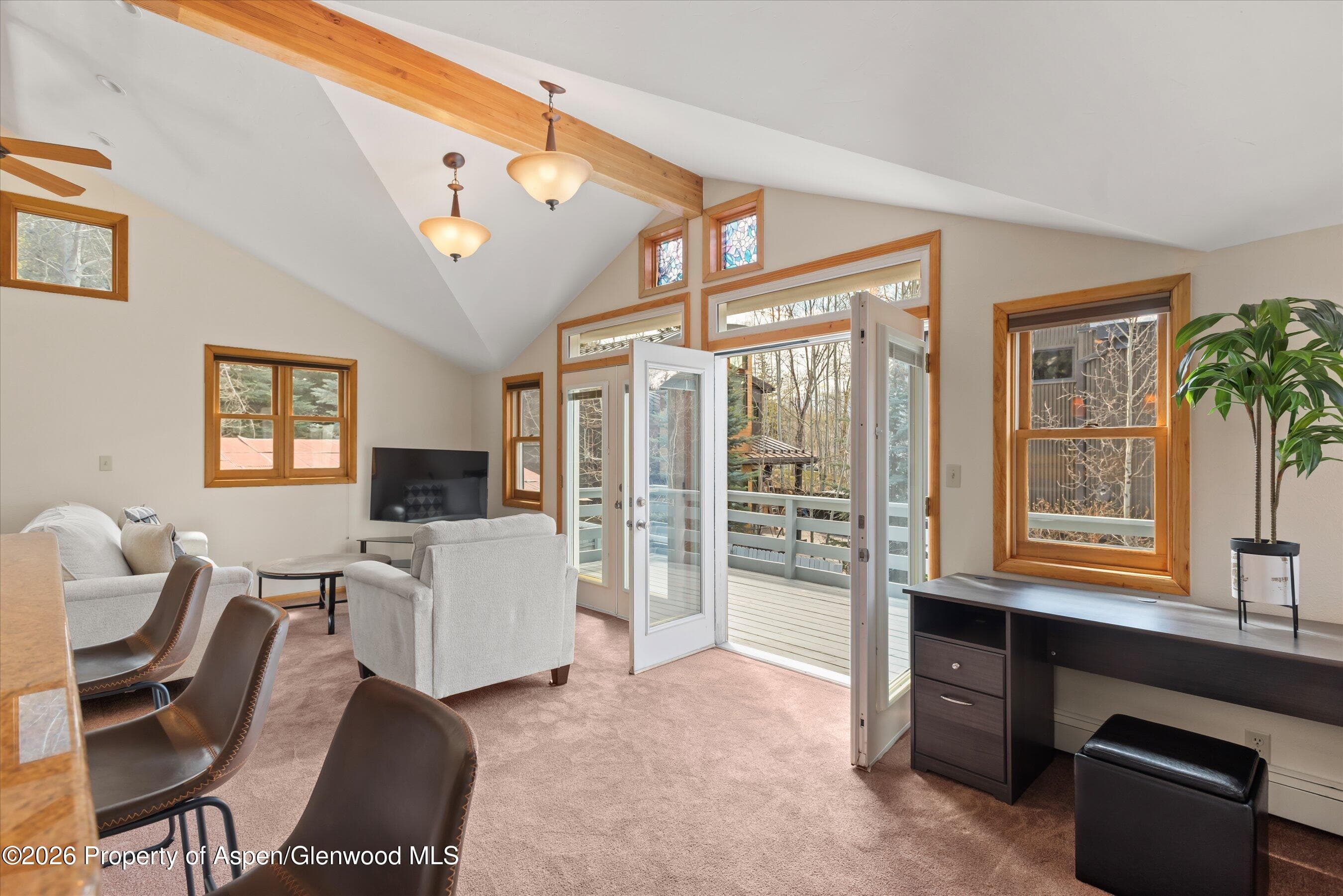 534 And 53 Spruce Street Units 1 And 2, Aspen, CO 81611 - Photo 64