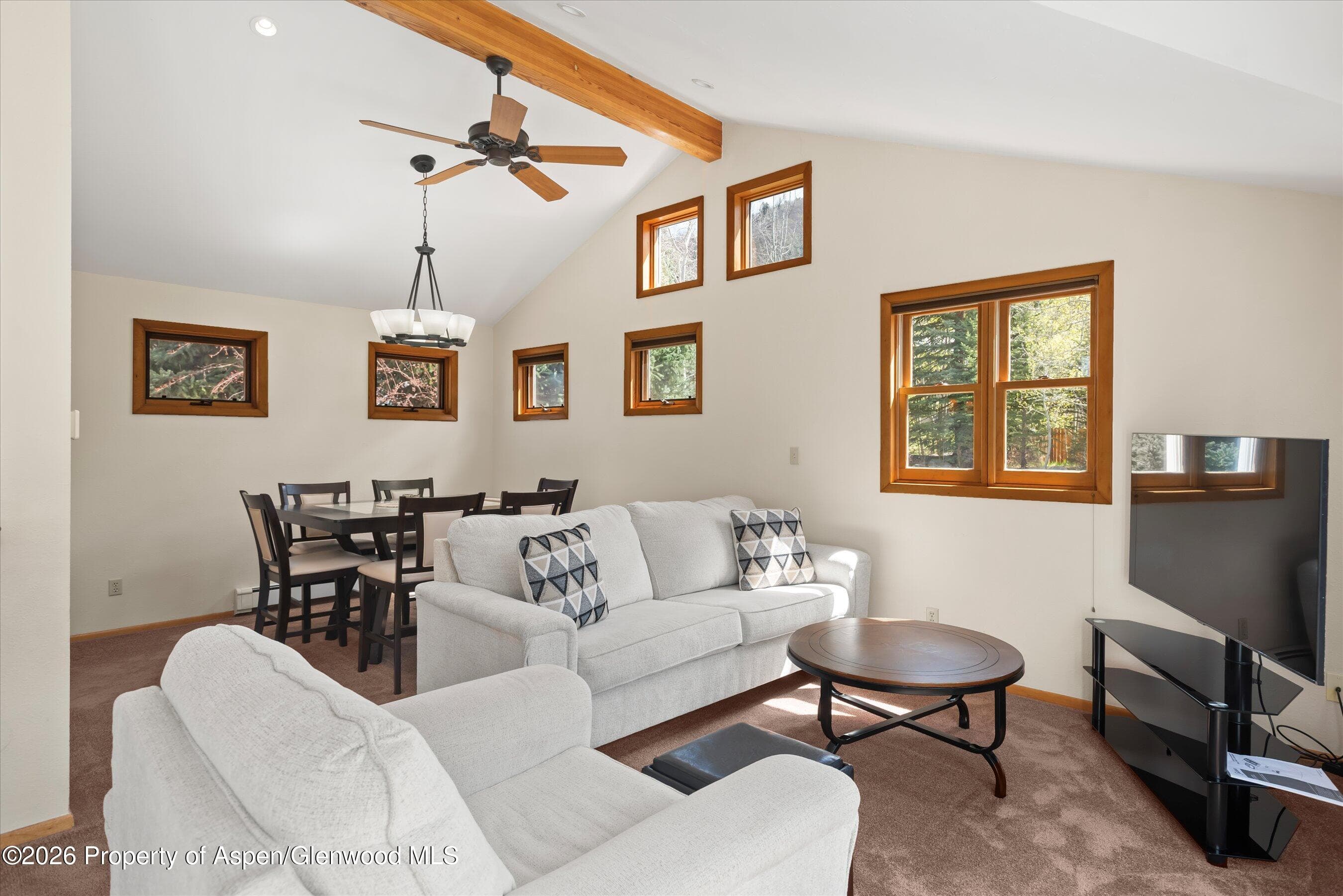 534 And 53 Spruce Street Units 1 And 2, Aspen, CO 81611 - Photo 67