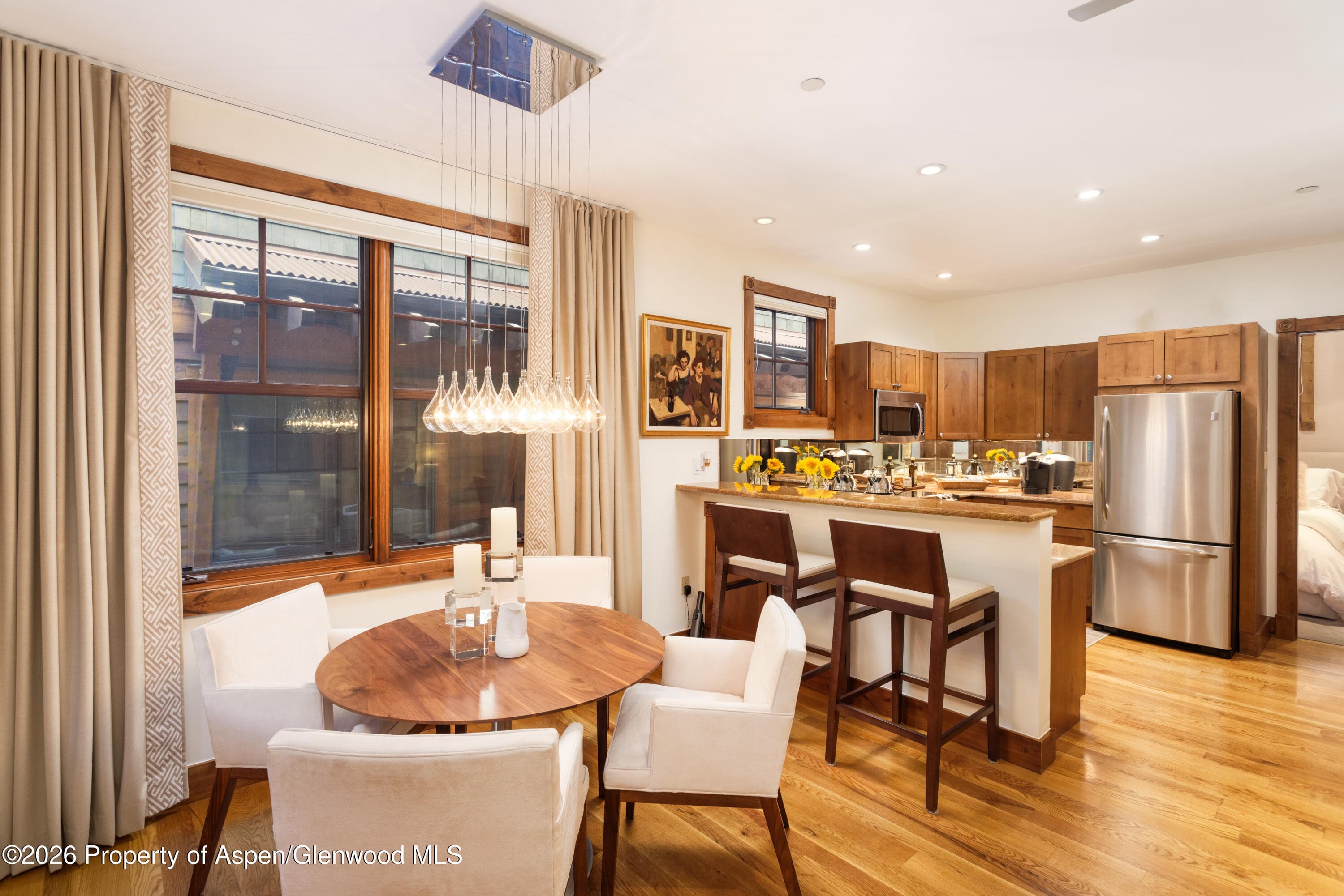 507 W Main Street C101, Aspen, CO 81611 - Photo 2