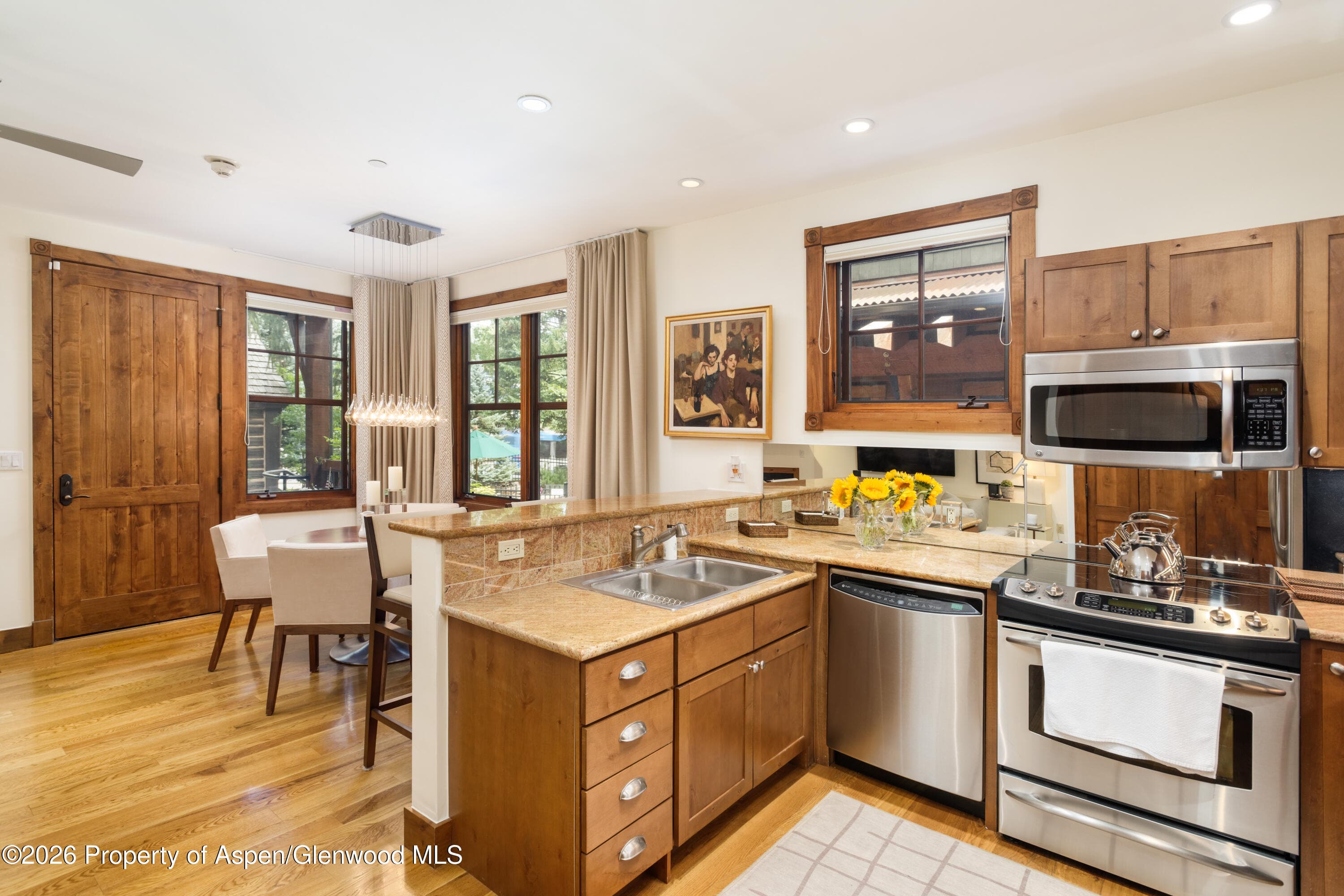 507 W Main Street C101, Aspen, CO 81611 - Photo 6