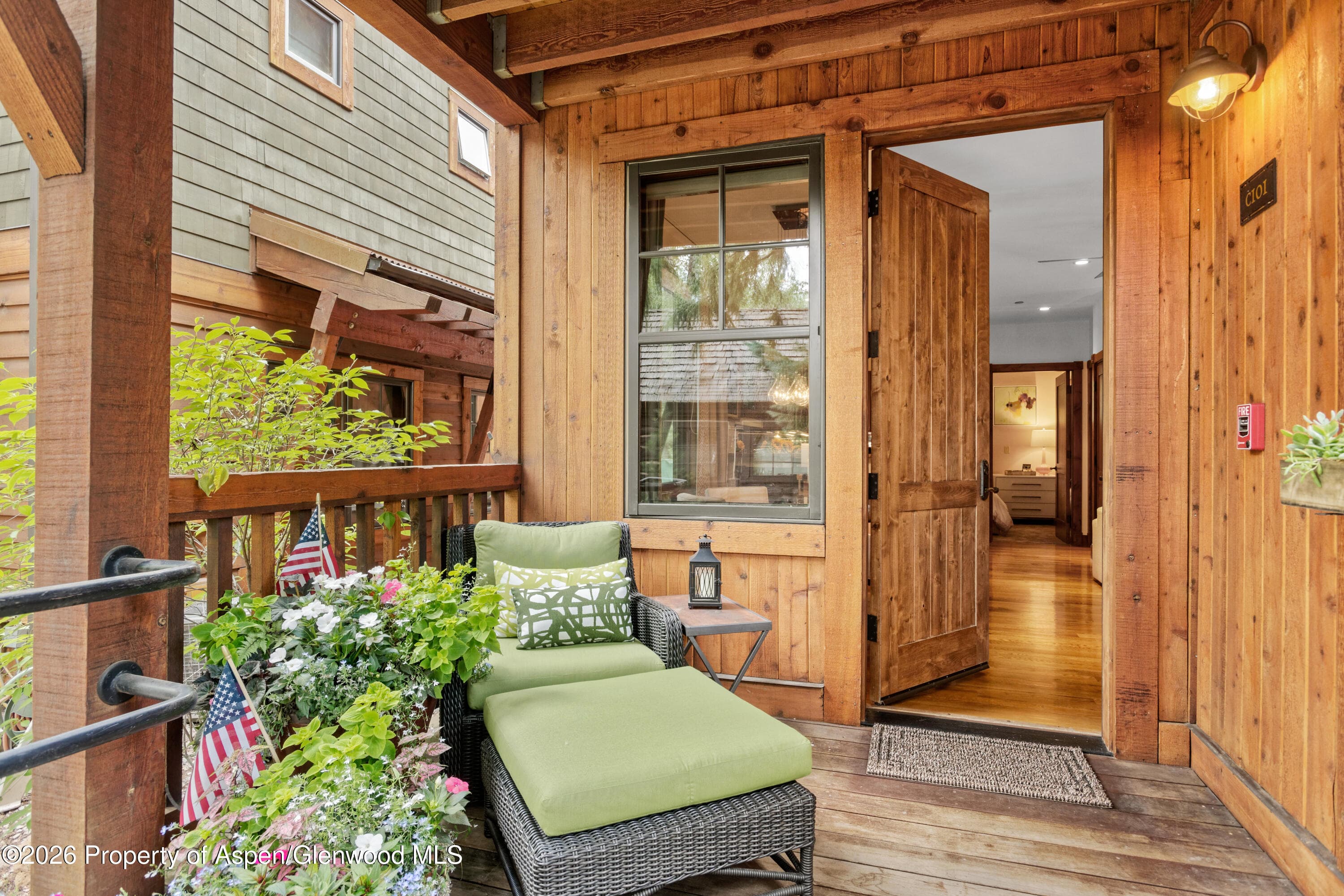 507 W Main Street C101, Aspen, CO 81611 - Photo 13