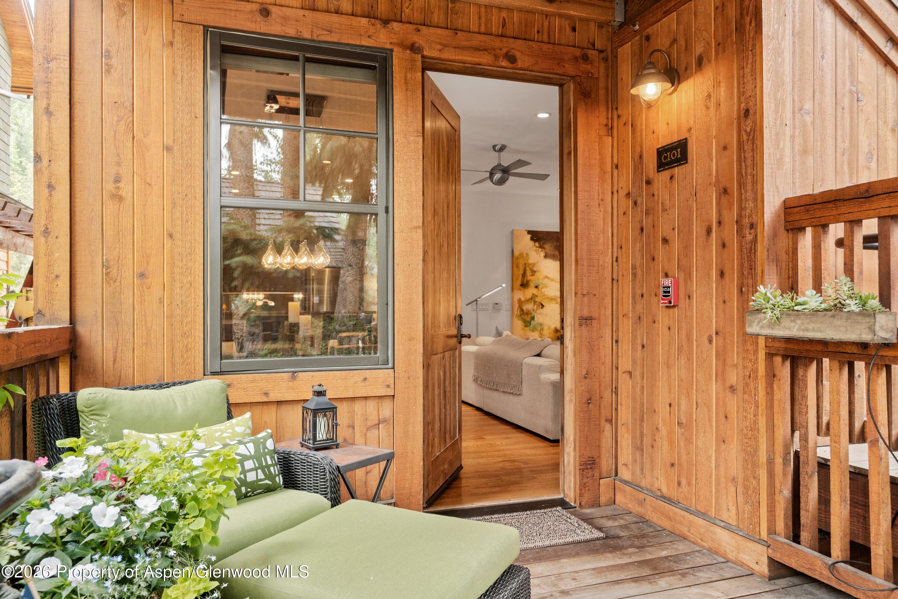 507 W Main Street C101, Aspen, CO 81611 - Photo 14