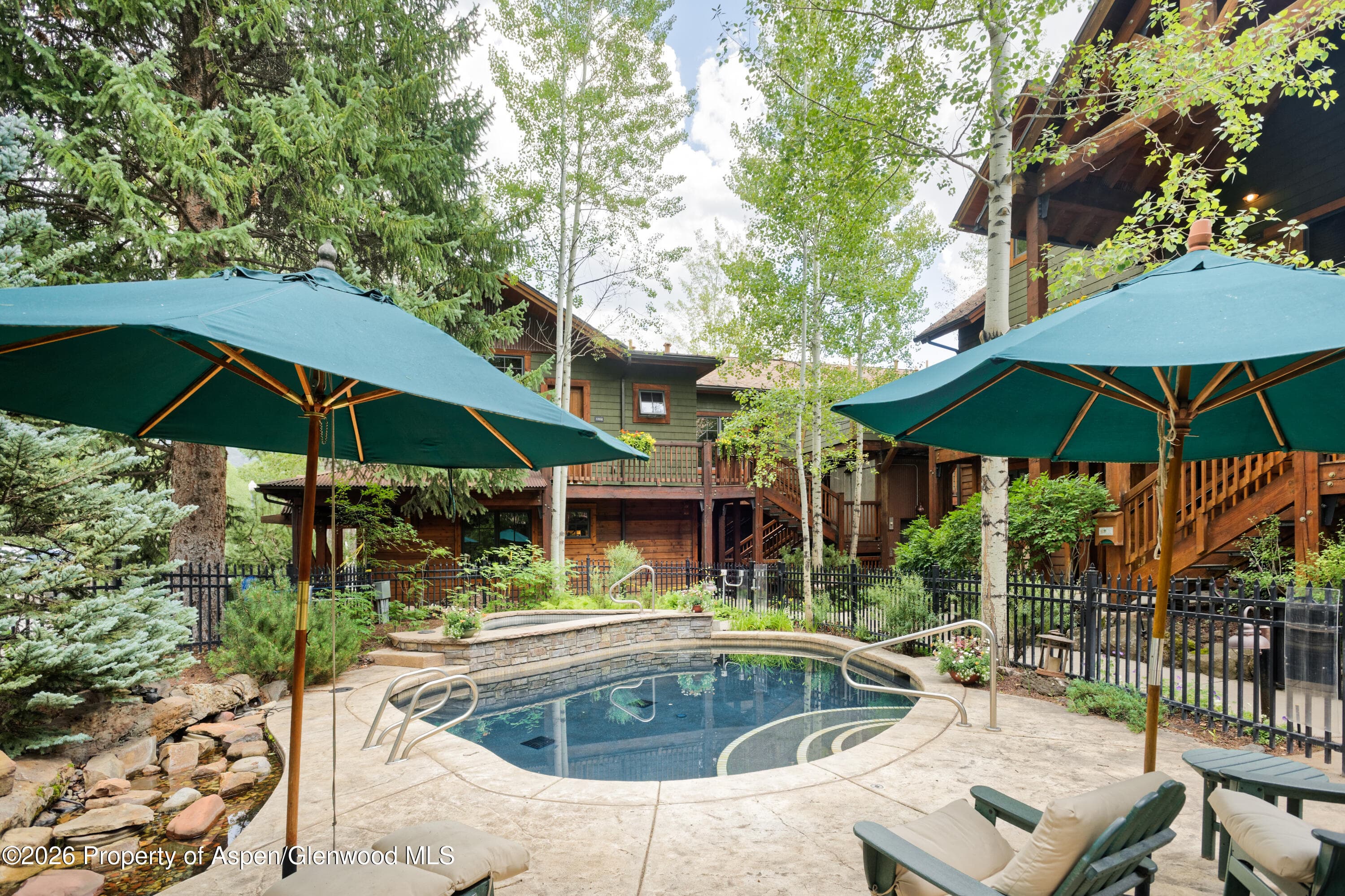 507 W Main Street C101, Aspen, CO 81611 - Photo 17