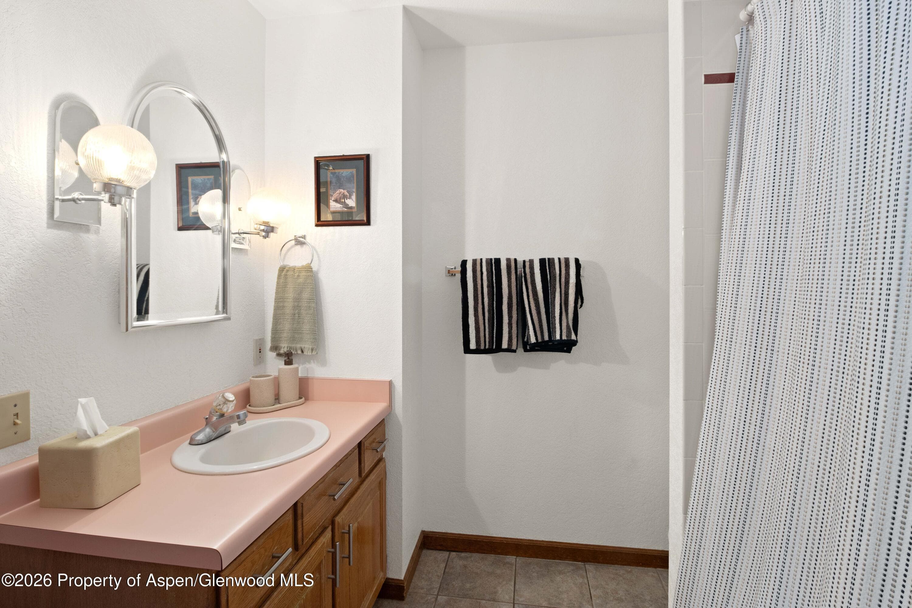 56 Sagewood Court, Basalt, CO 81621 - Photo 12