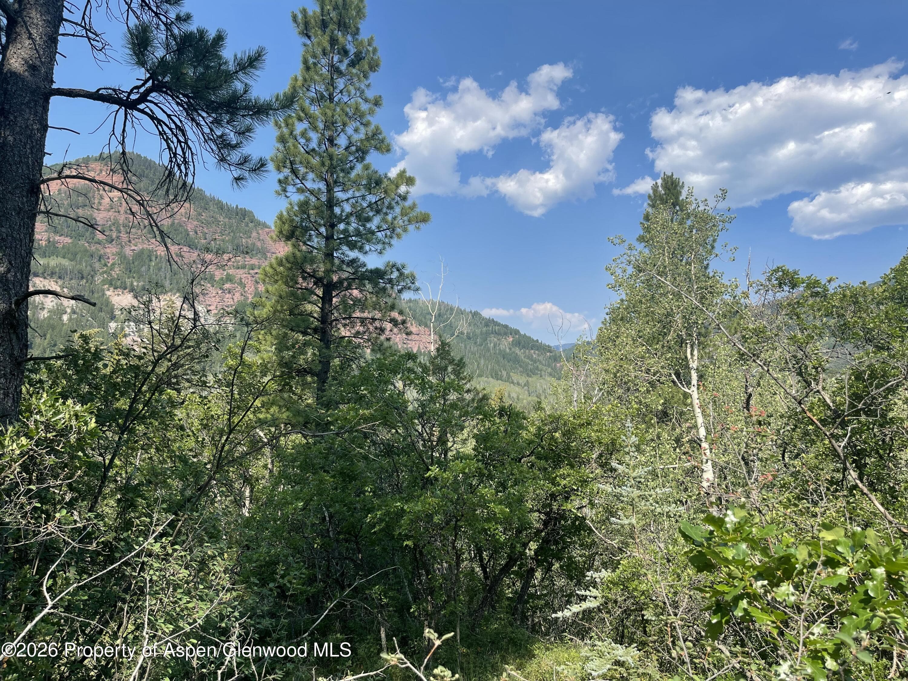 315 Fire House Road, Redstone, CO 81623