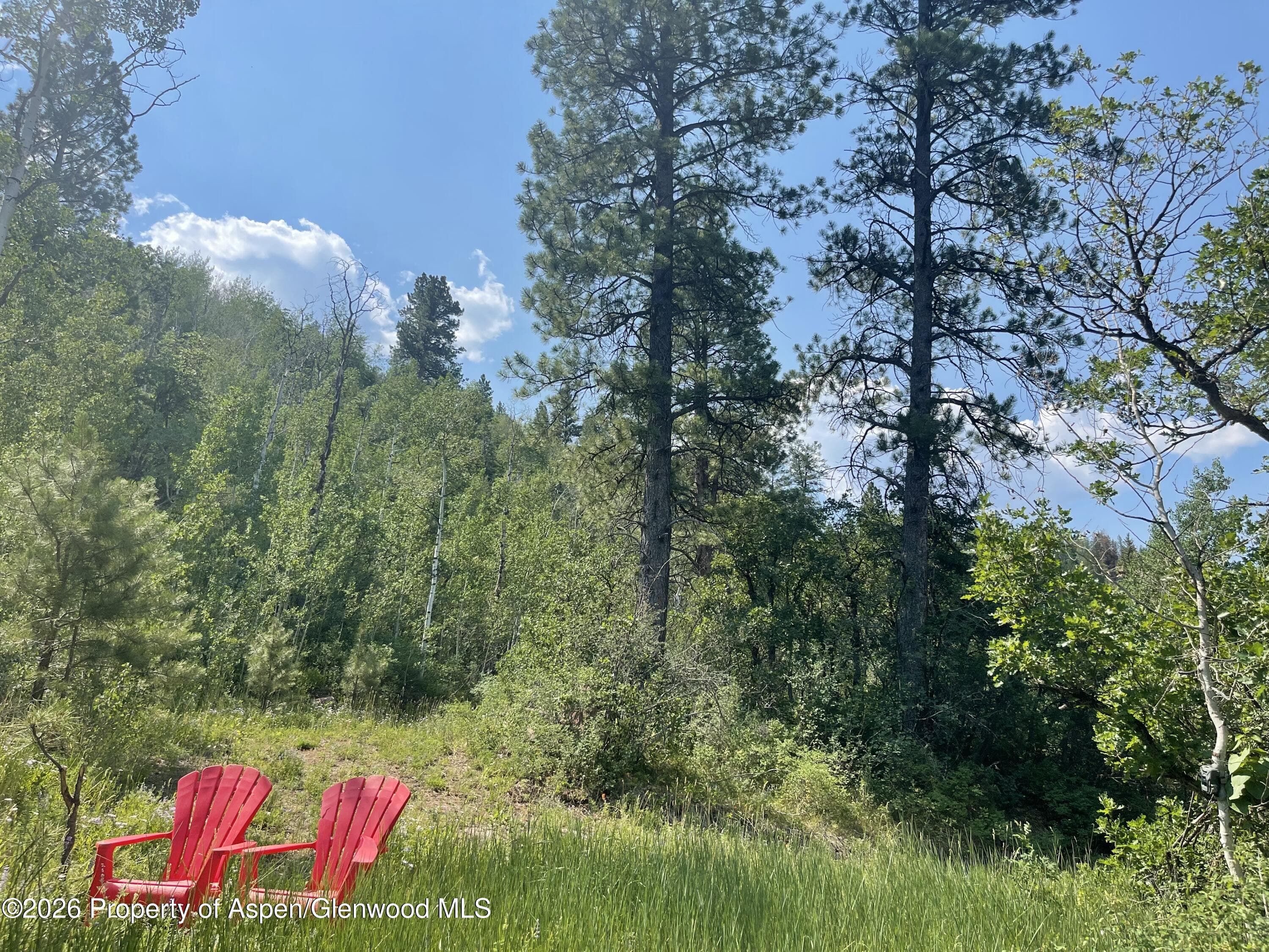 315 Fire House Road, Redstone, CO 81623 - Photo 3