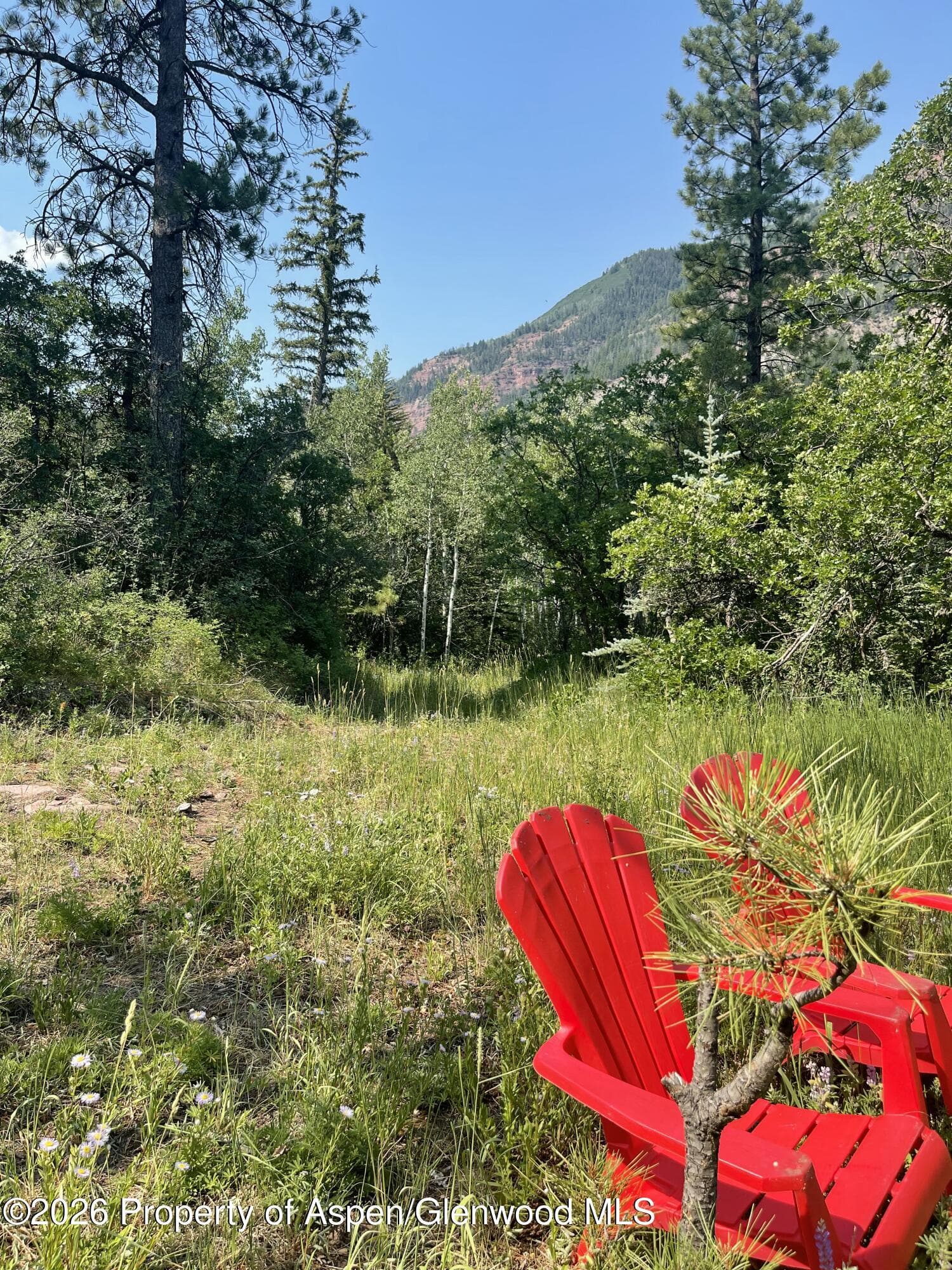 315 Fire House Road, Redstone, CO 81623 - Photo 4
