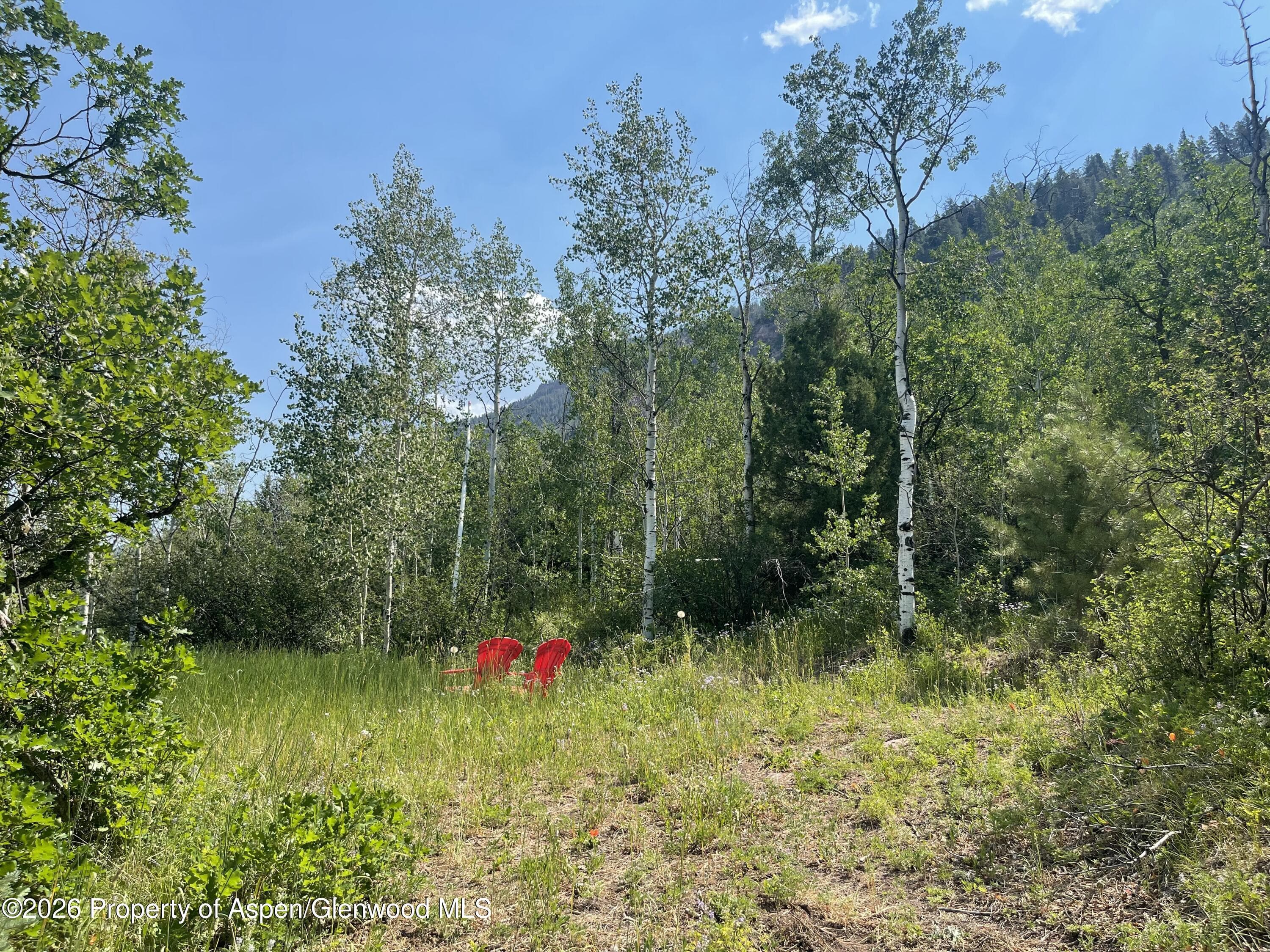315 Fire House Road, Redstone, CO 81623 - Photo 5