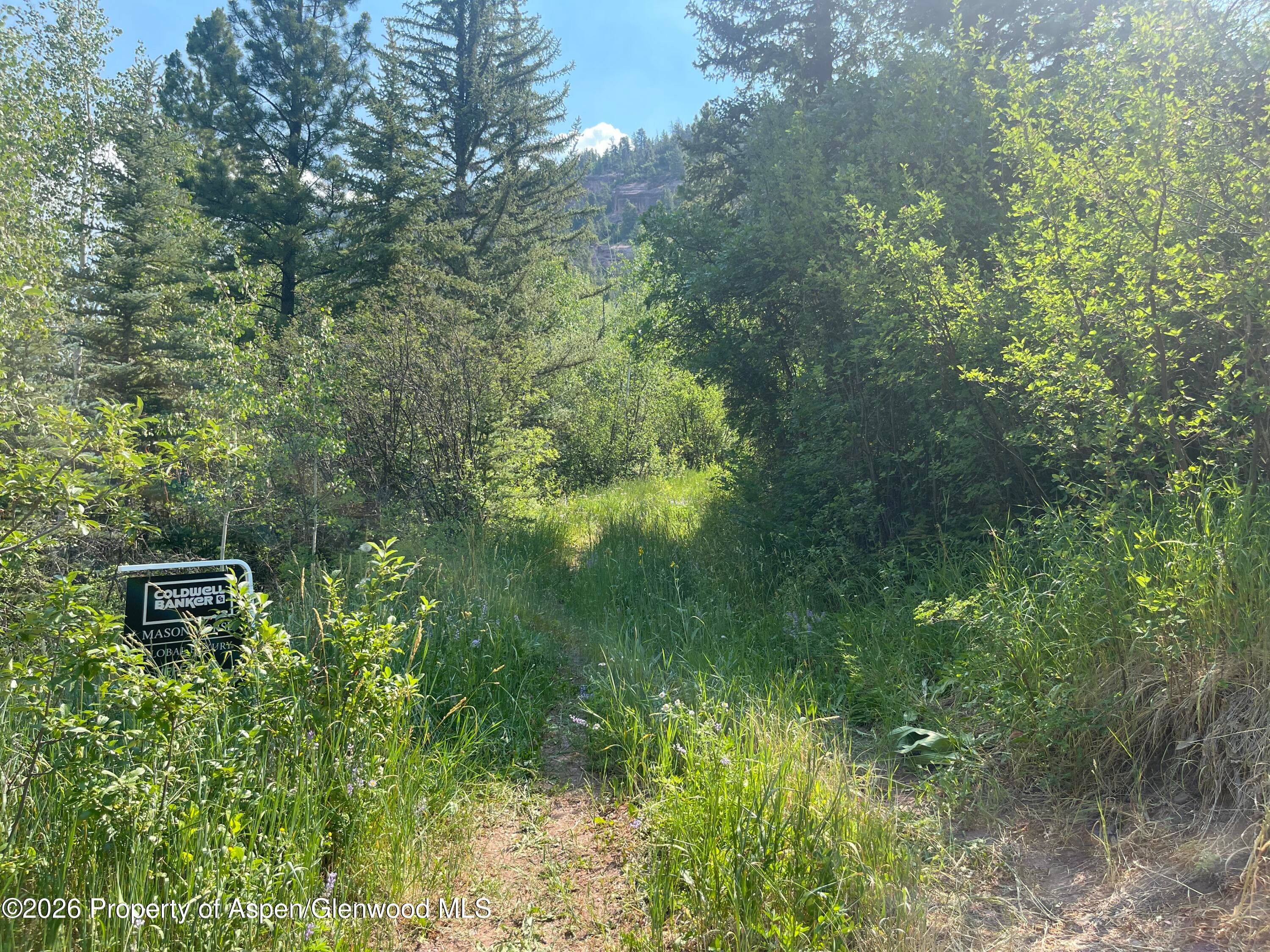 315 Fire House Road, Redstone, CO 81623 - Photo 7