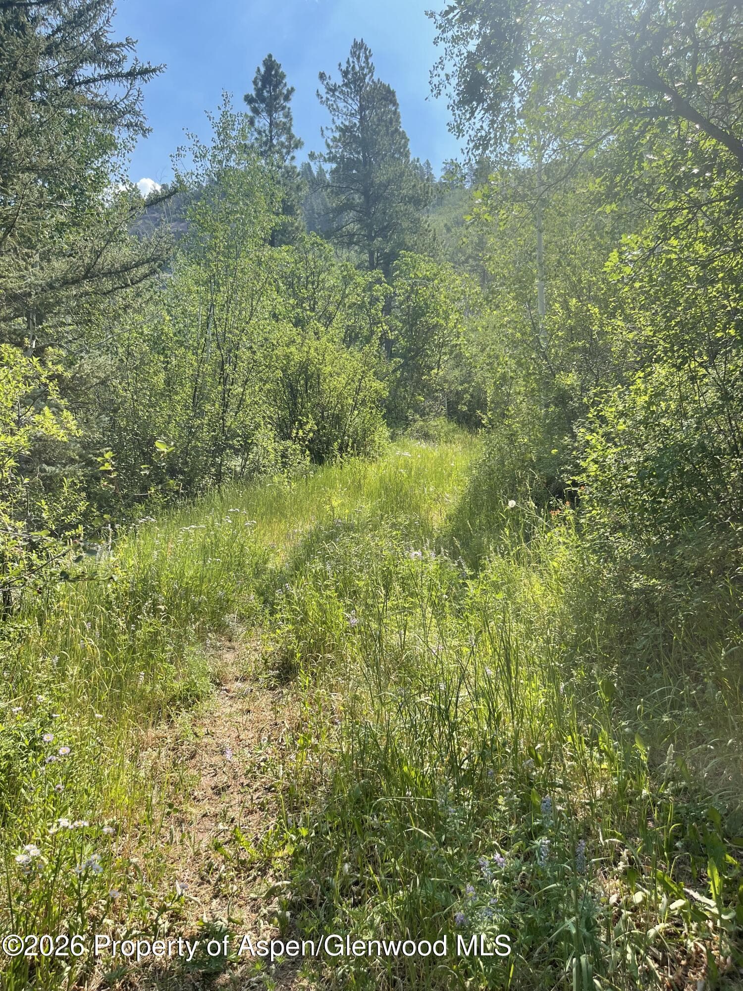 315 Fire House Road, Redstone, CO 81623 - Photo 6