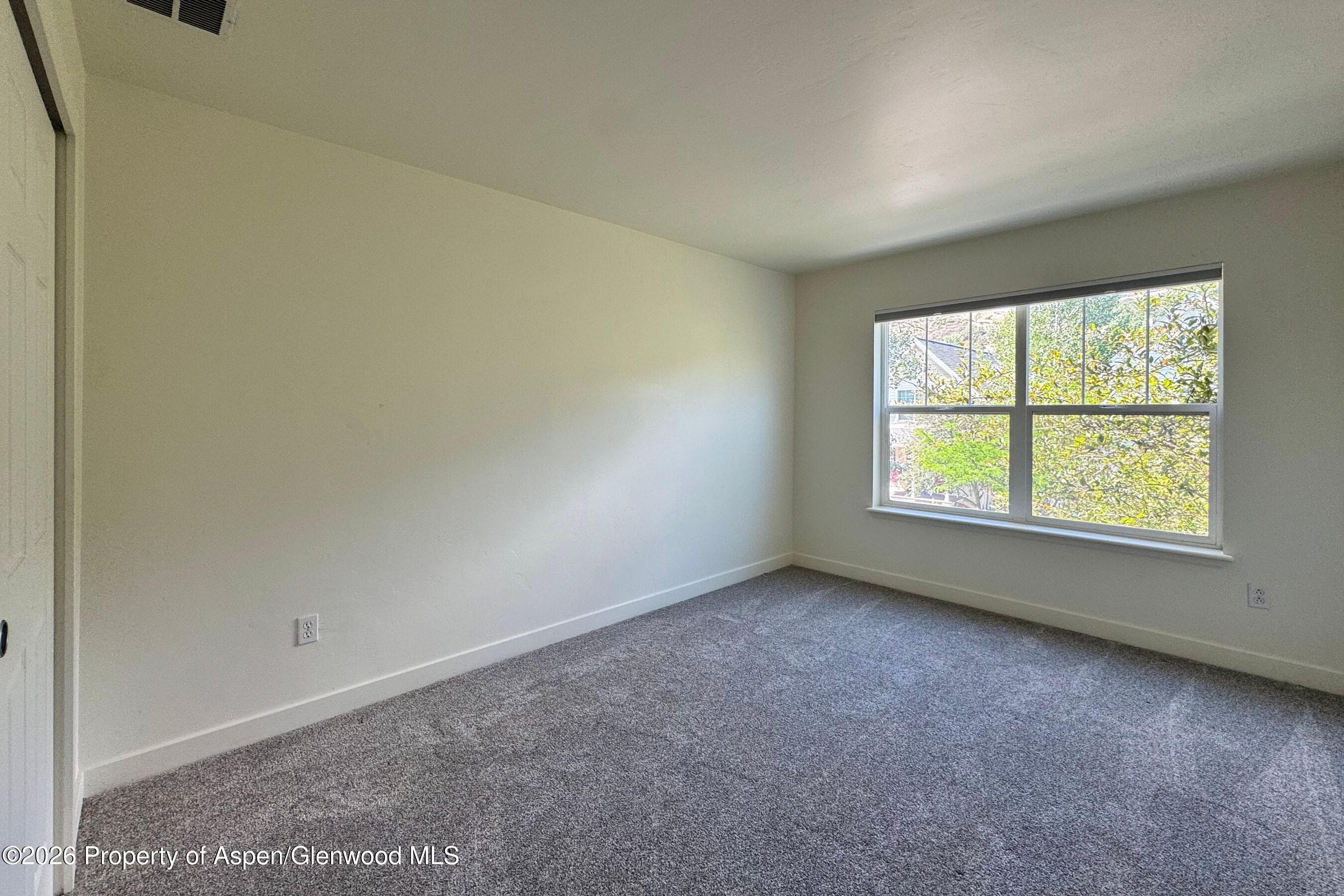 1416 Darrow Alley, Glenwood Springs, CO 81601 - Photo 13