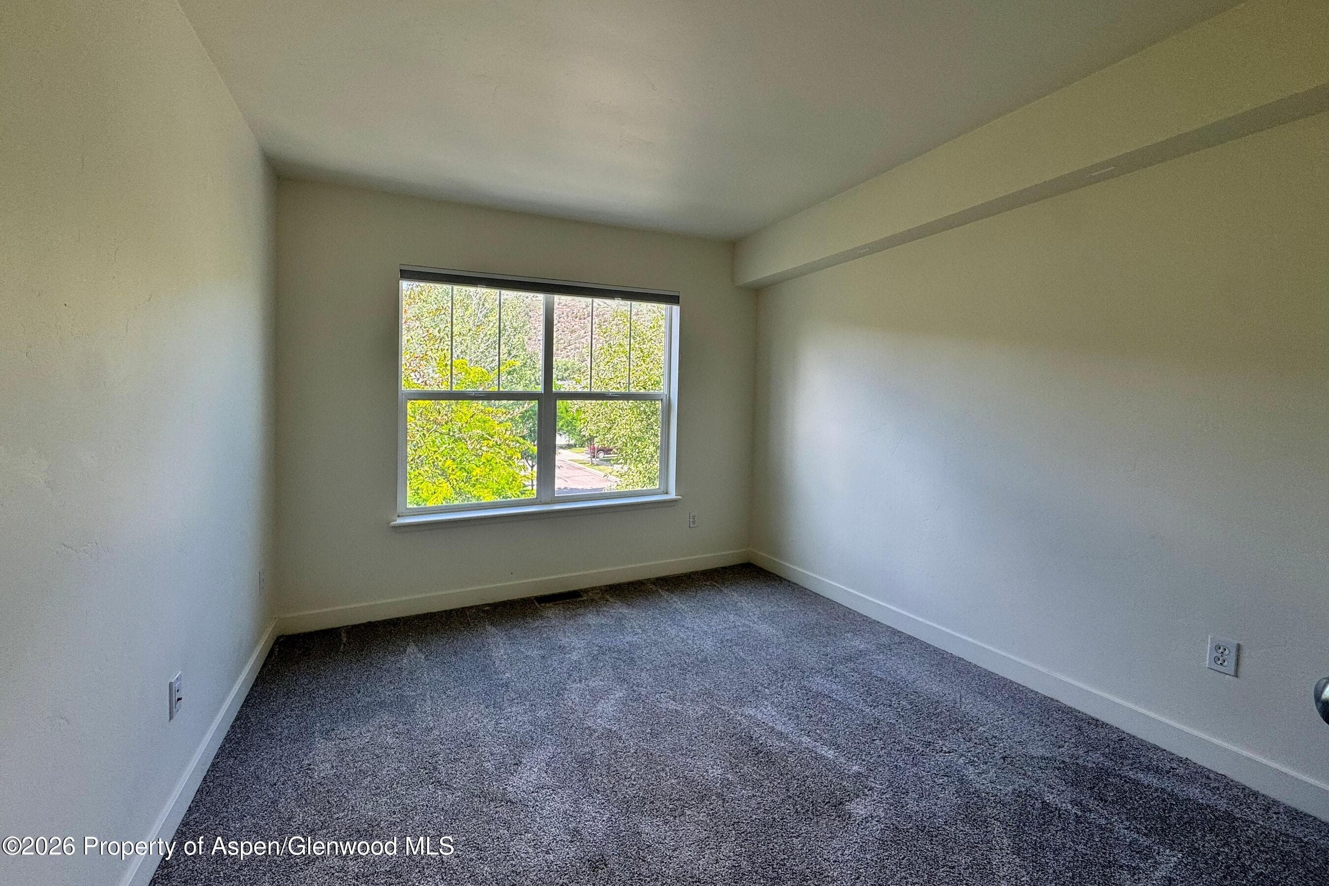 1416 Darrow Alley, Glenwood Springs, CO 81601 - Photo 14