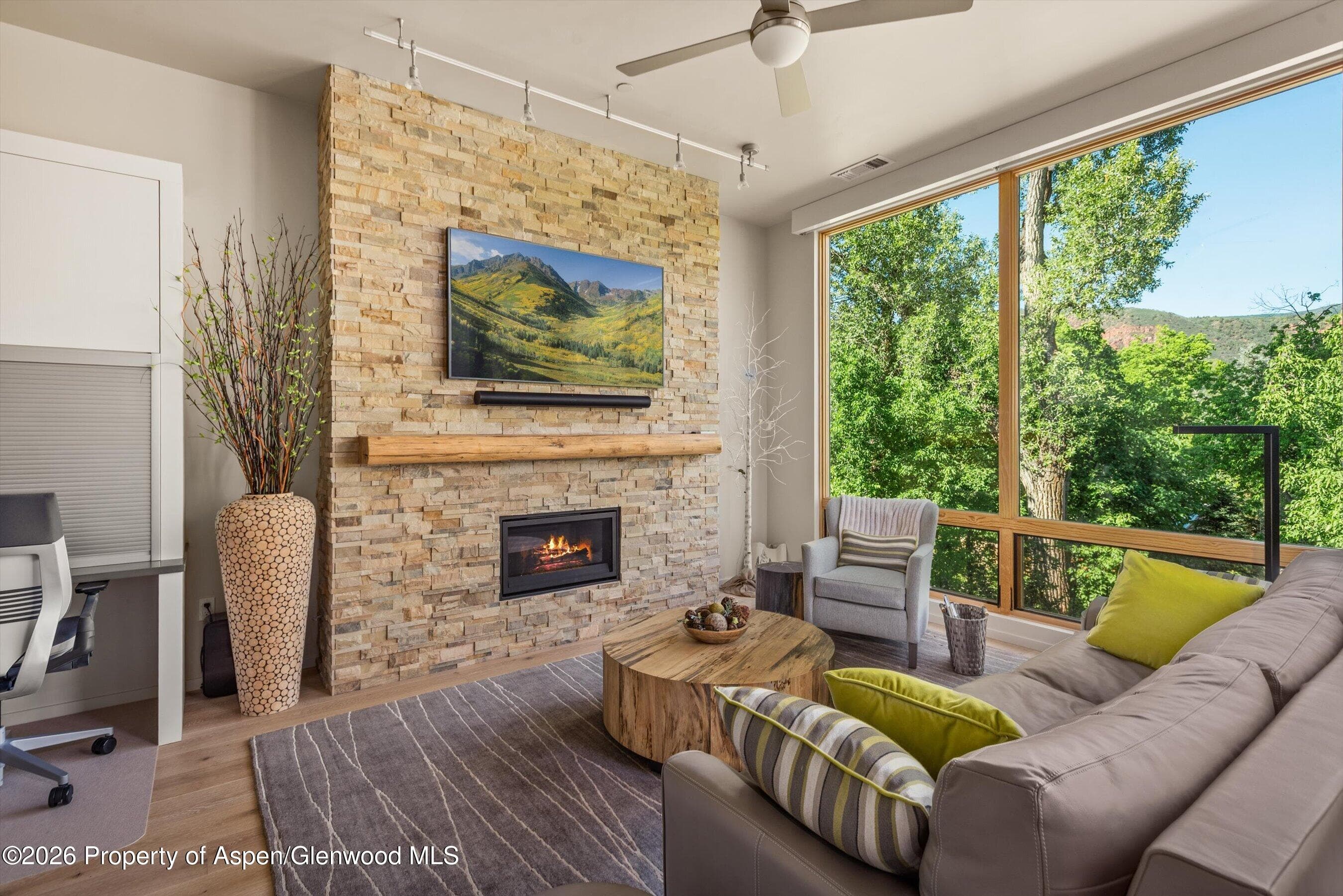 101 Willits Way 205, Basalt, CO 81621 - Photo 5