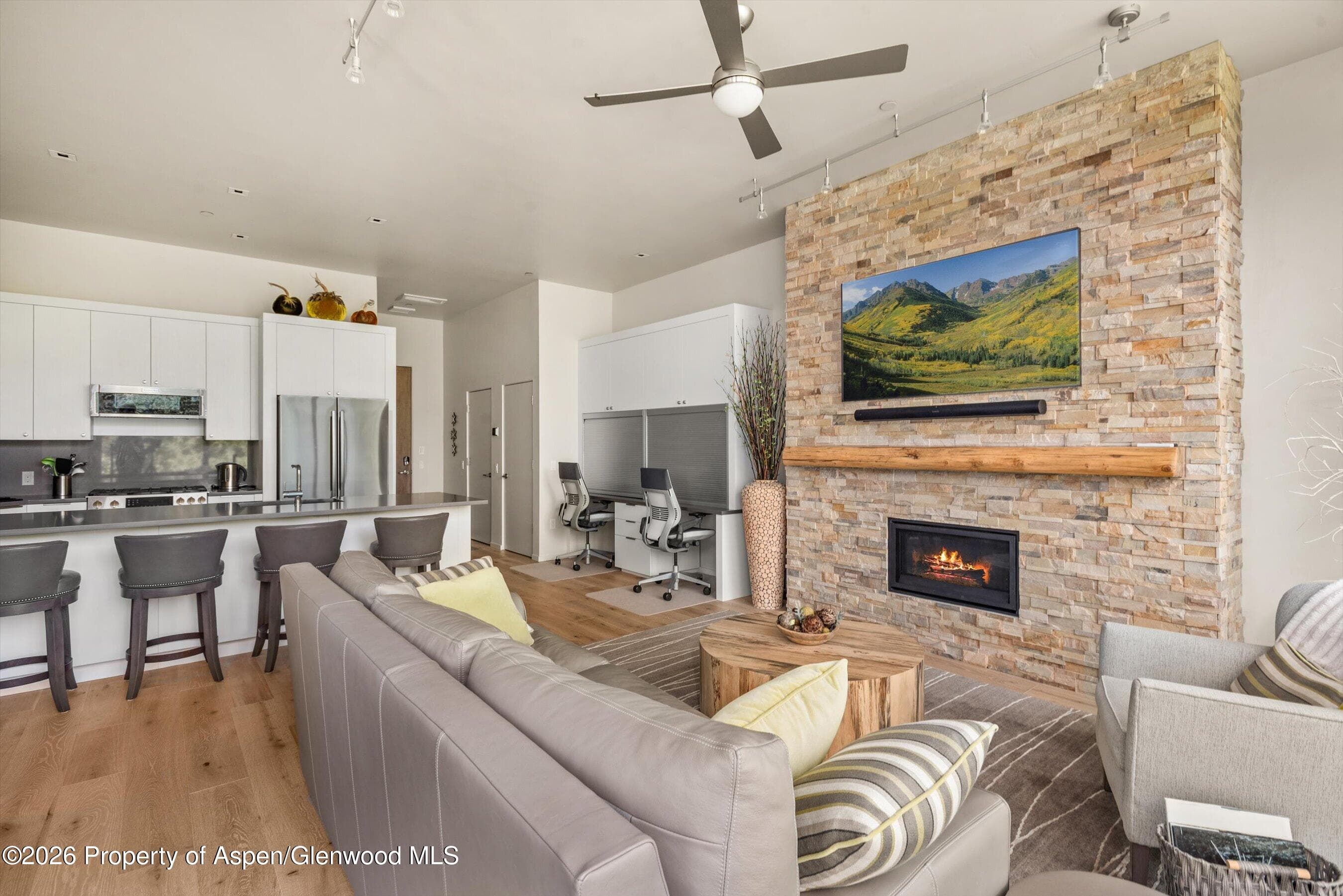 101 Willits Way 205, Basalt, CO 81621 - Photo 6