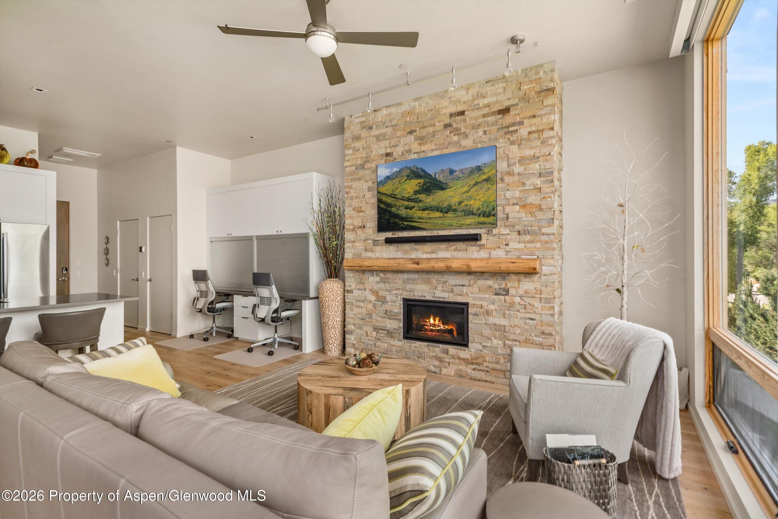101 Willits Way 205, Basalt, CO 81621 - Photo 7