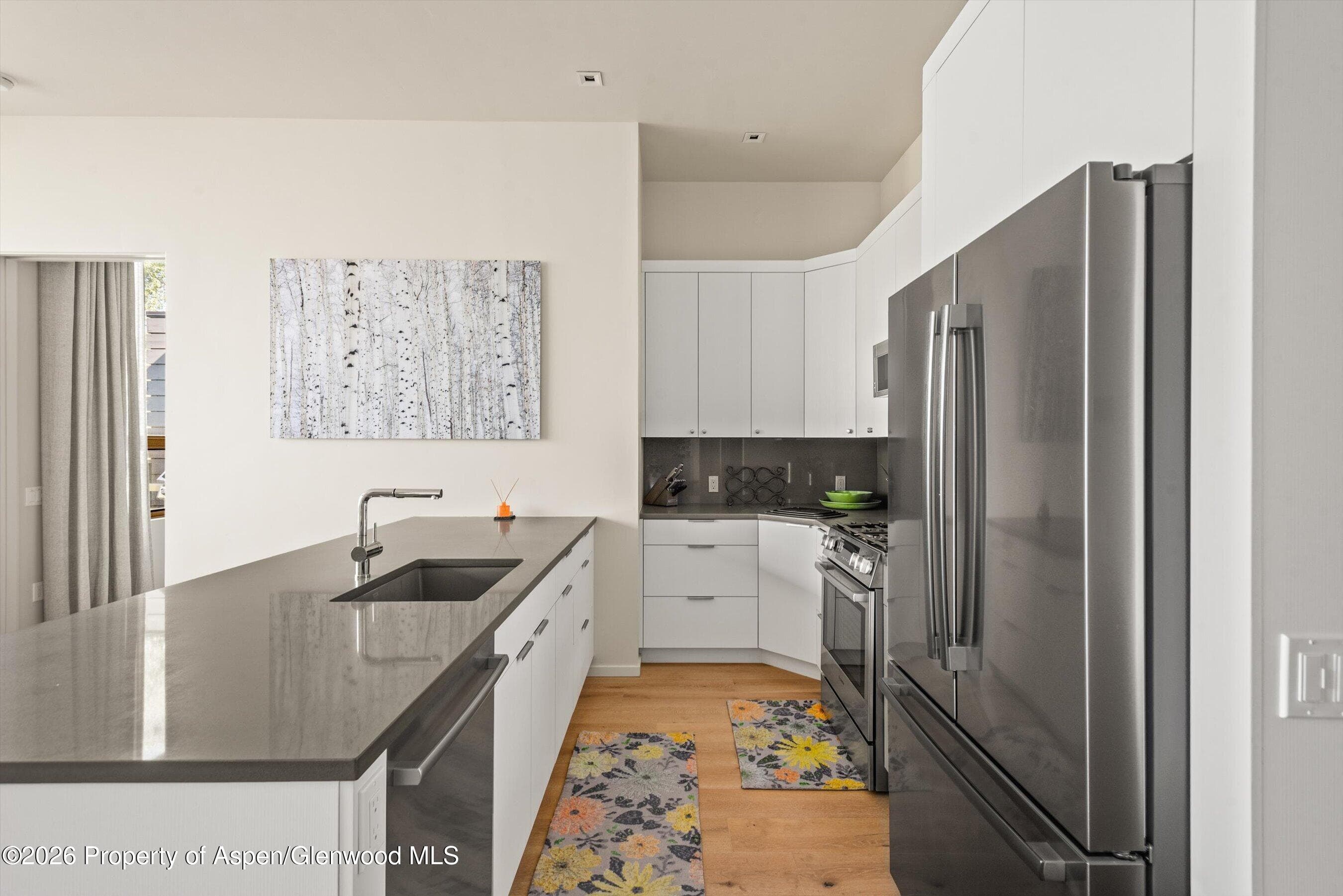 101 Willits Way 205, Basalt, CO 81621 - Photo 15