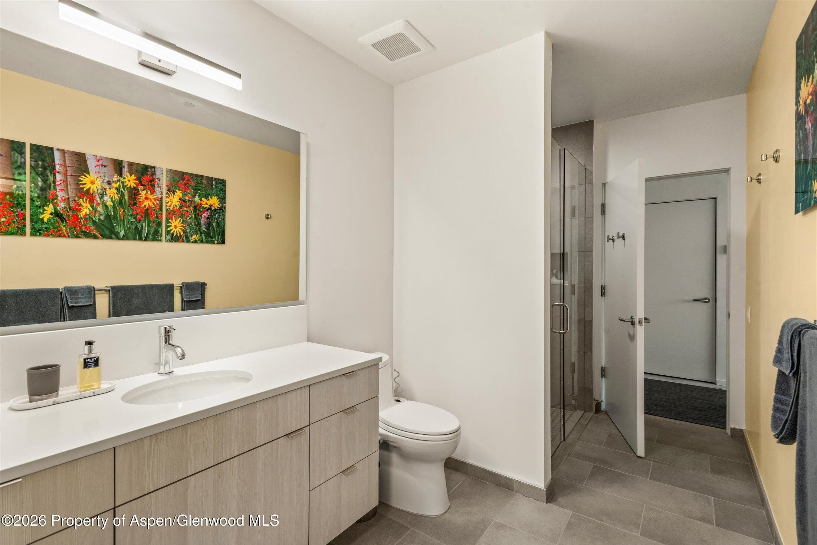 101 Willits Way 205, Basalt, CO 81621 - Photo 19