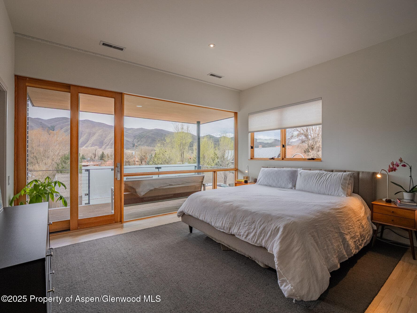 200 E Homestead Drive, Basalt, CO 81621 - Photo 8