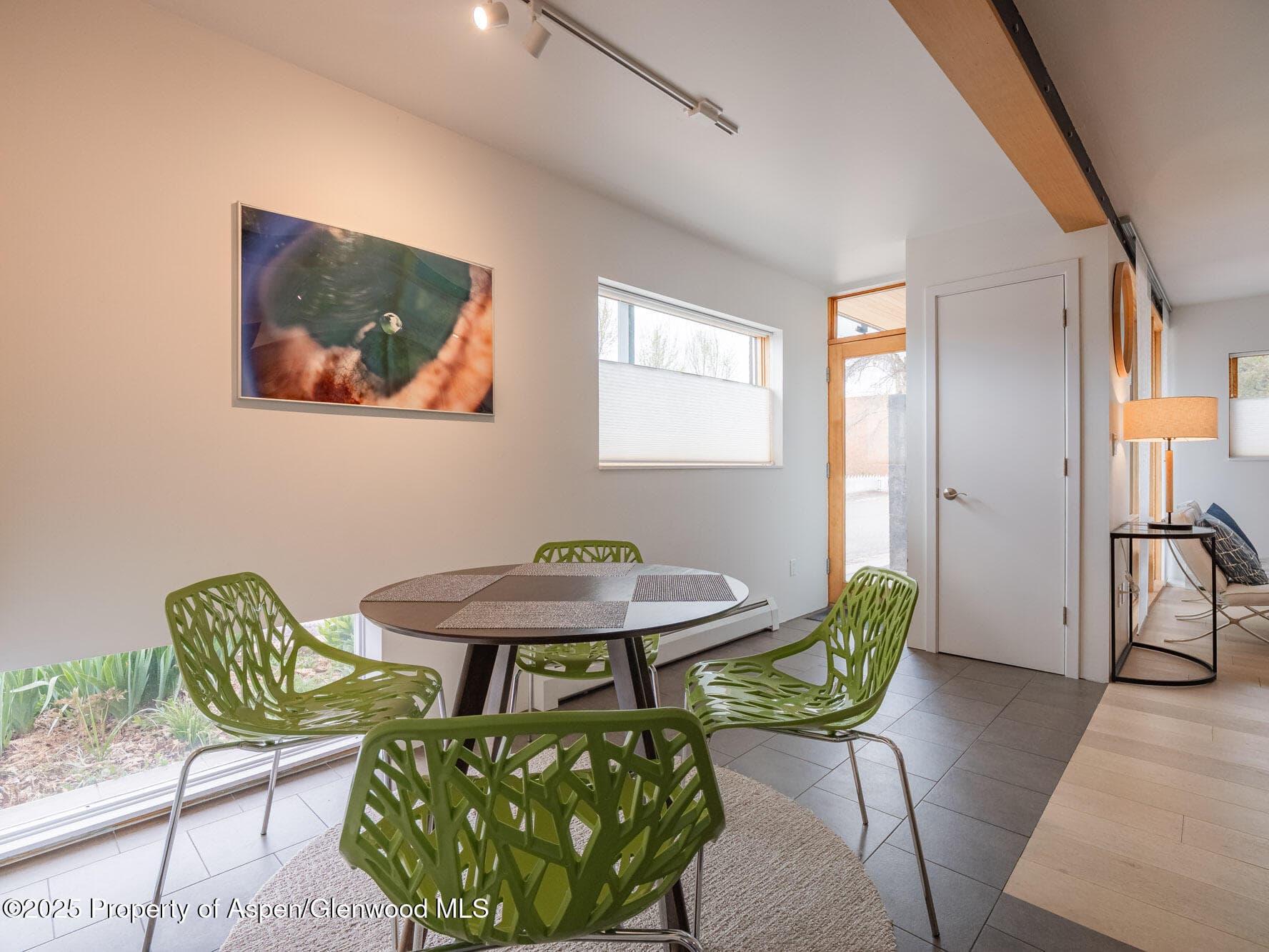 200 E Homestead Drive, Basalt, CO 81621 - Photo 22