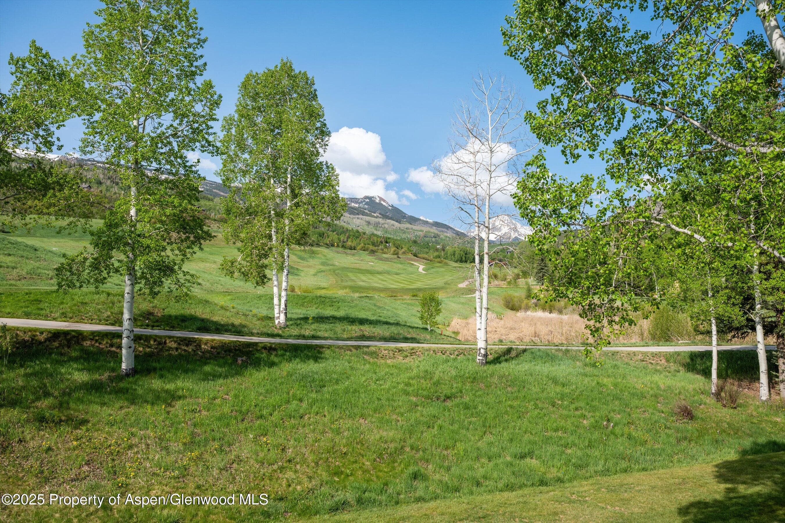 294 Snowmass Club Circle 1205, Snowmass Village, CO 81615