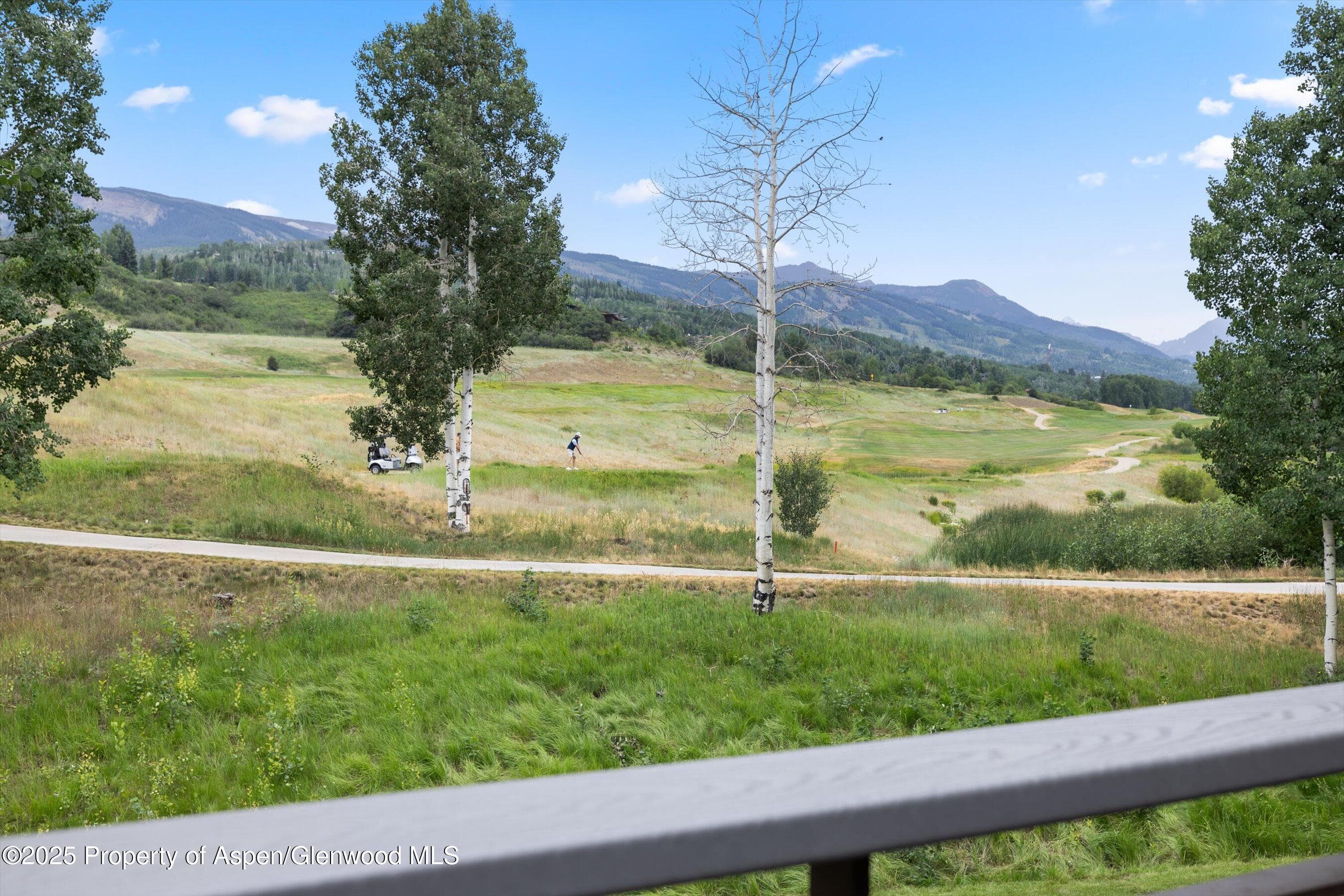 294 Snowmass Club Circle 1205, Snowmass Village, CO 81615 - Photo 8