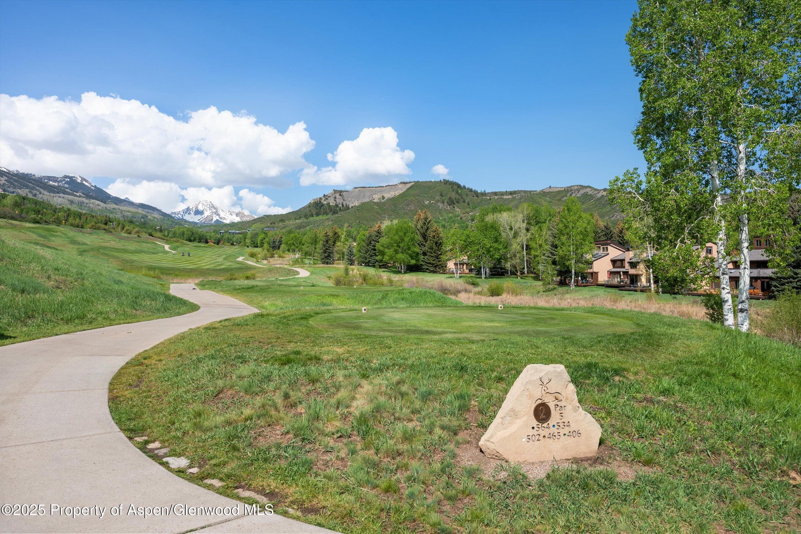 294 Snowmass Club Circle 1205, Snowmass Village, CO 81615 - Photo 9