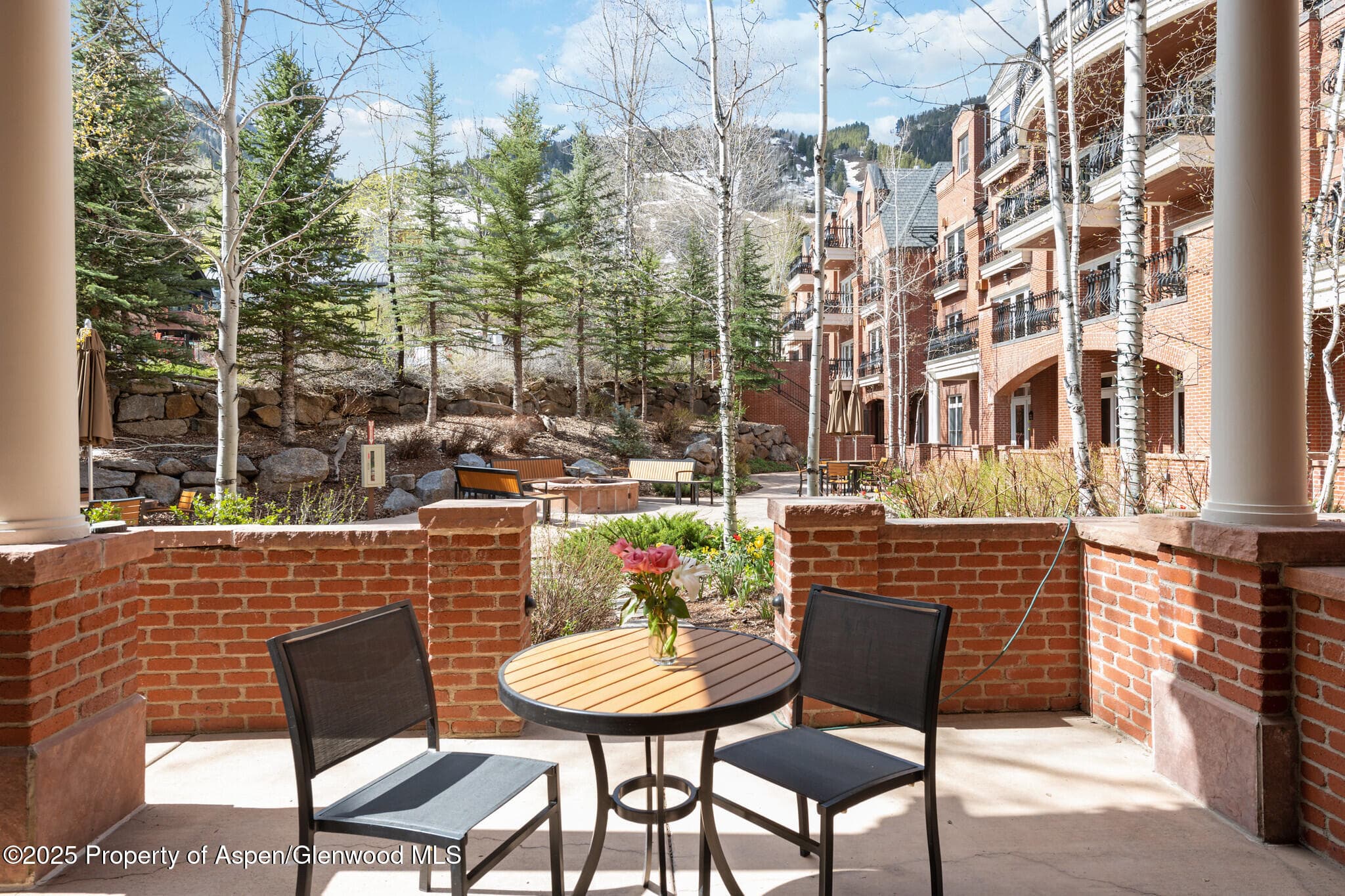 415 E Dean St, #4, Wks 26,27,28 & 29, Aspen, CO 81611 - Photo 2