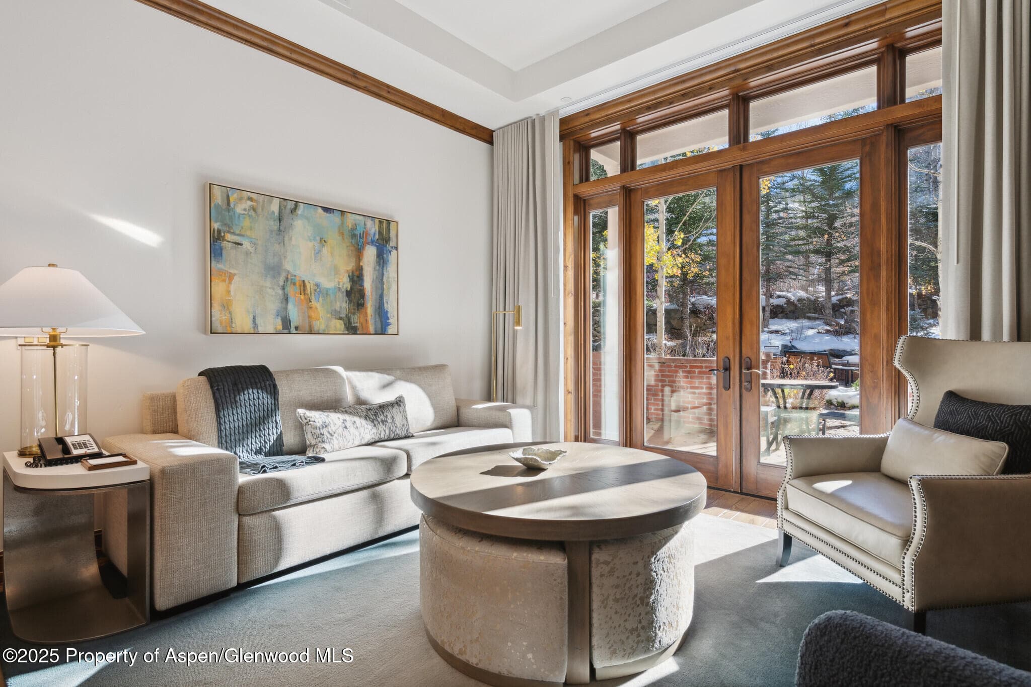 415 E Dean St, #4, Wks 26,27,28 & 29, Aspen, CO 81611 - Photo 5