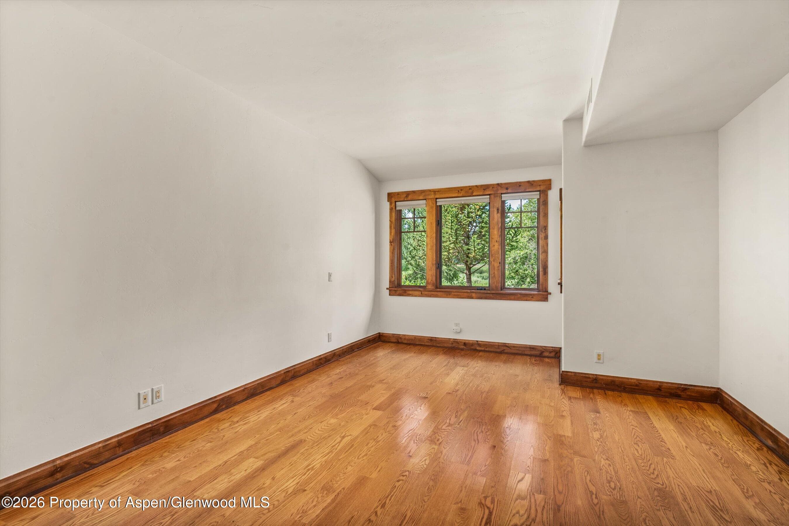 381 Boundary Lane, Carbondale, CO 81623 - Photo 8
